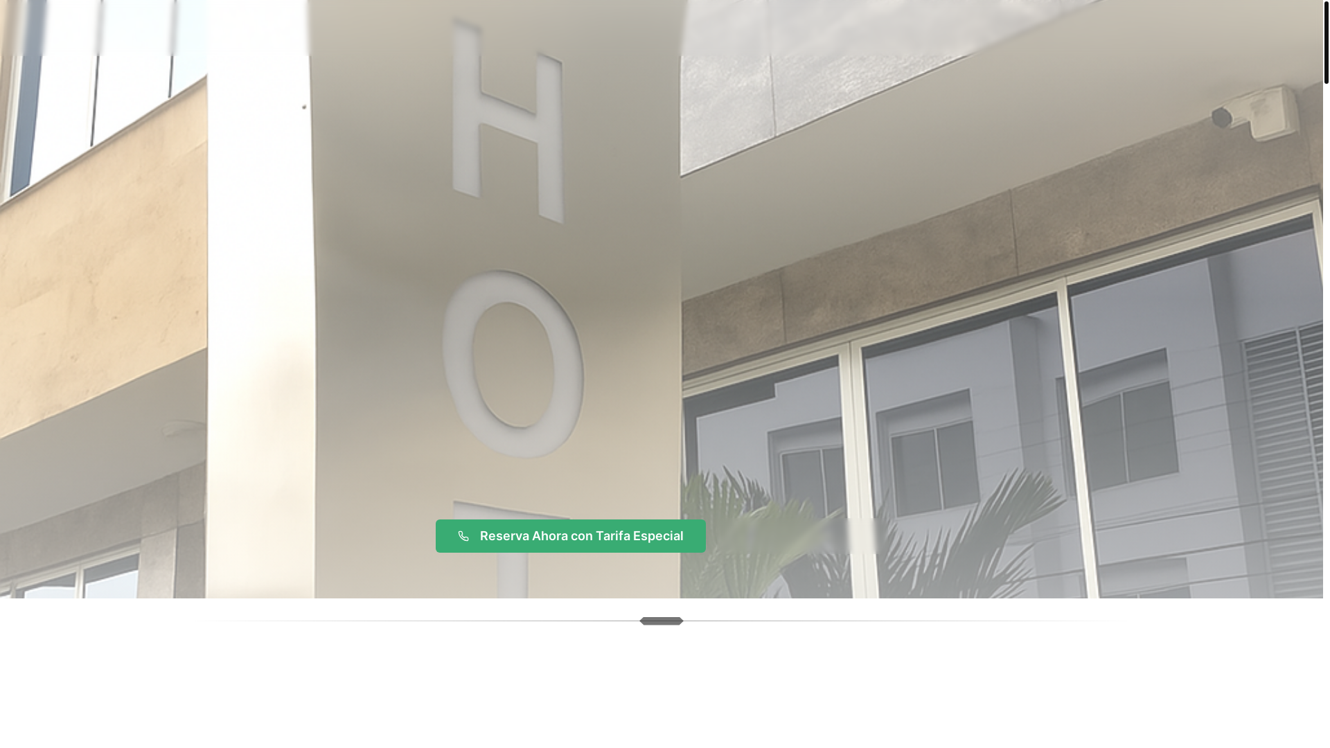 website screenshot of https://arihotelencali.co/