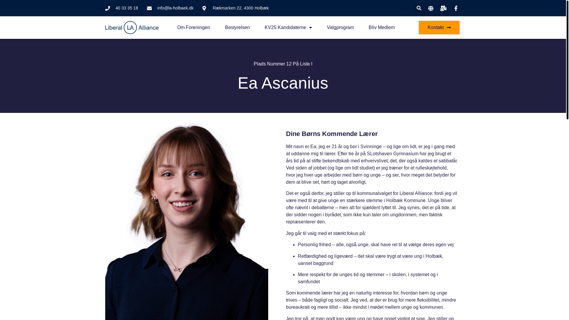 website screenshot of https://stem-ea.dk/