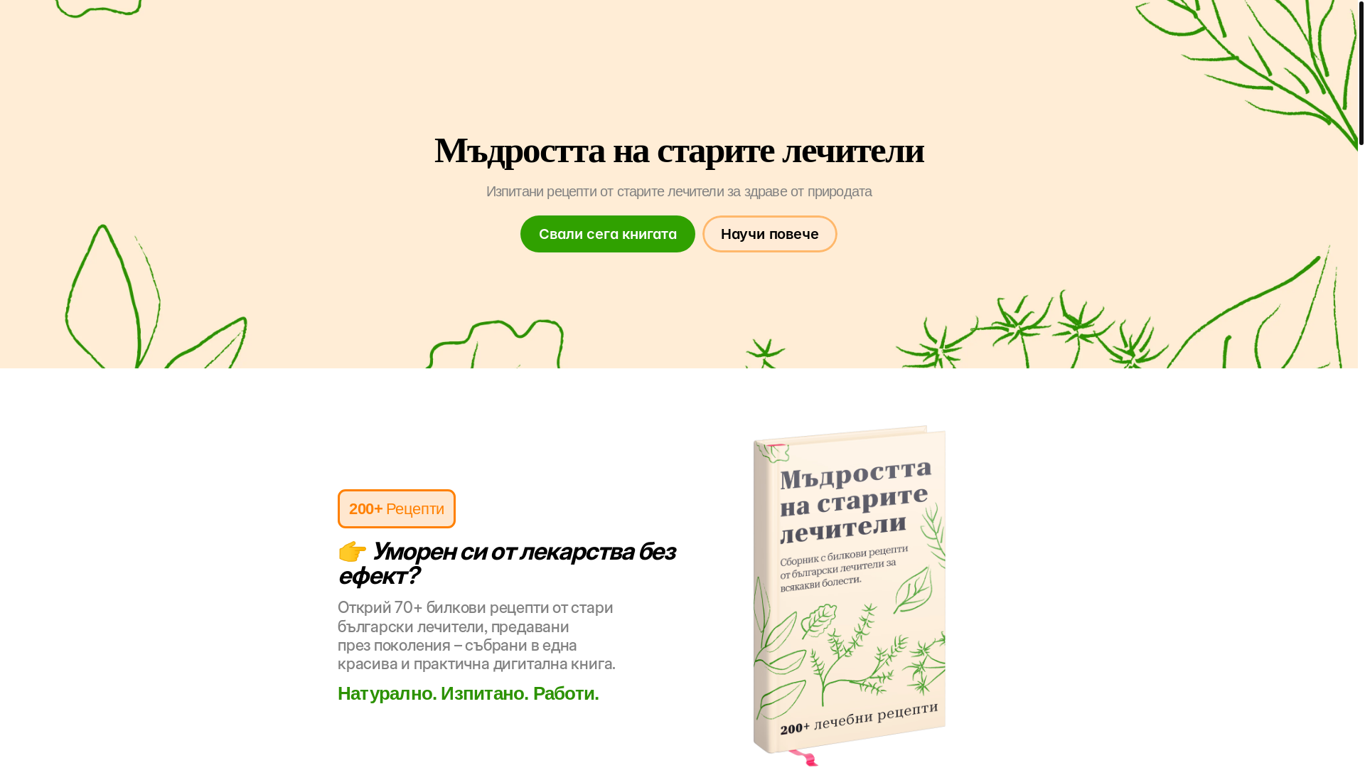 website screenshot of https://bilkite.shop/