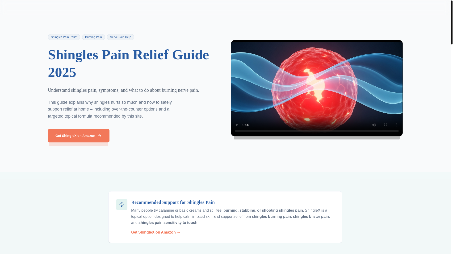 website screenshot of https://shinglespain.org/