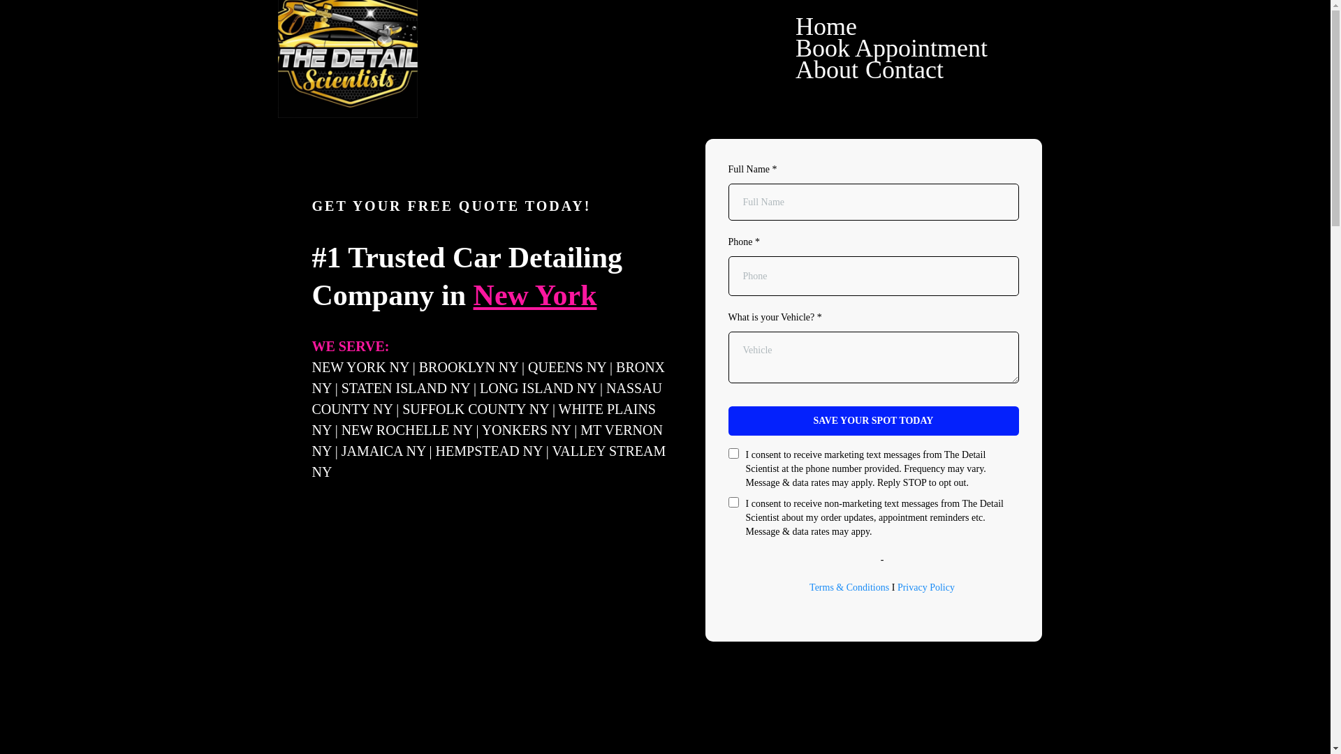 website screenshot of https://thedetailscientist.org/