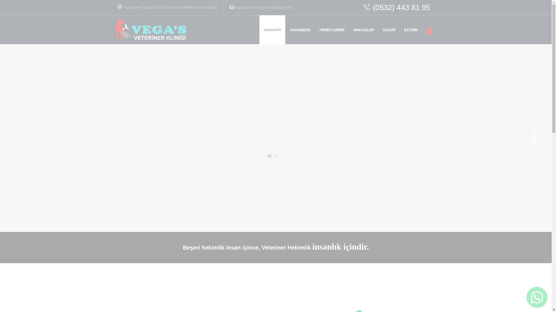 website screenshot of https://vegasveterinerbodrum.com.tr/