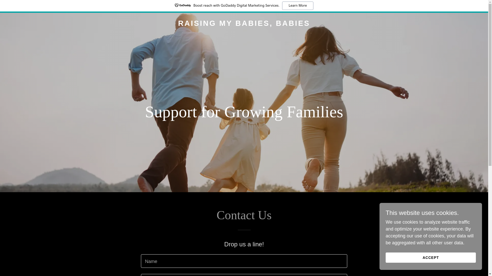 website screenshot of https://raisingmybabiesbabies.com/