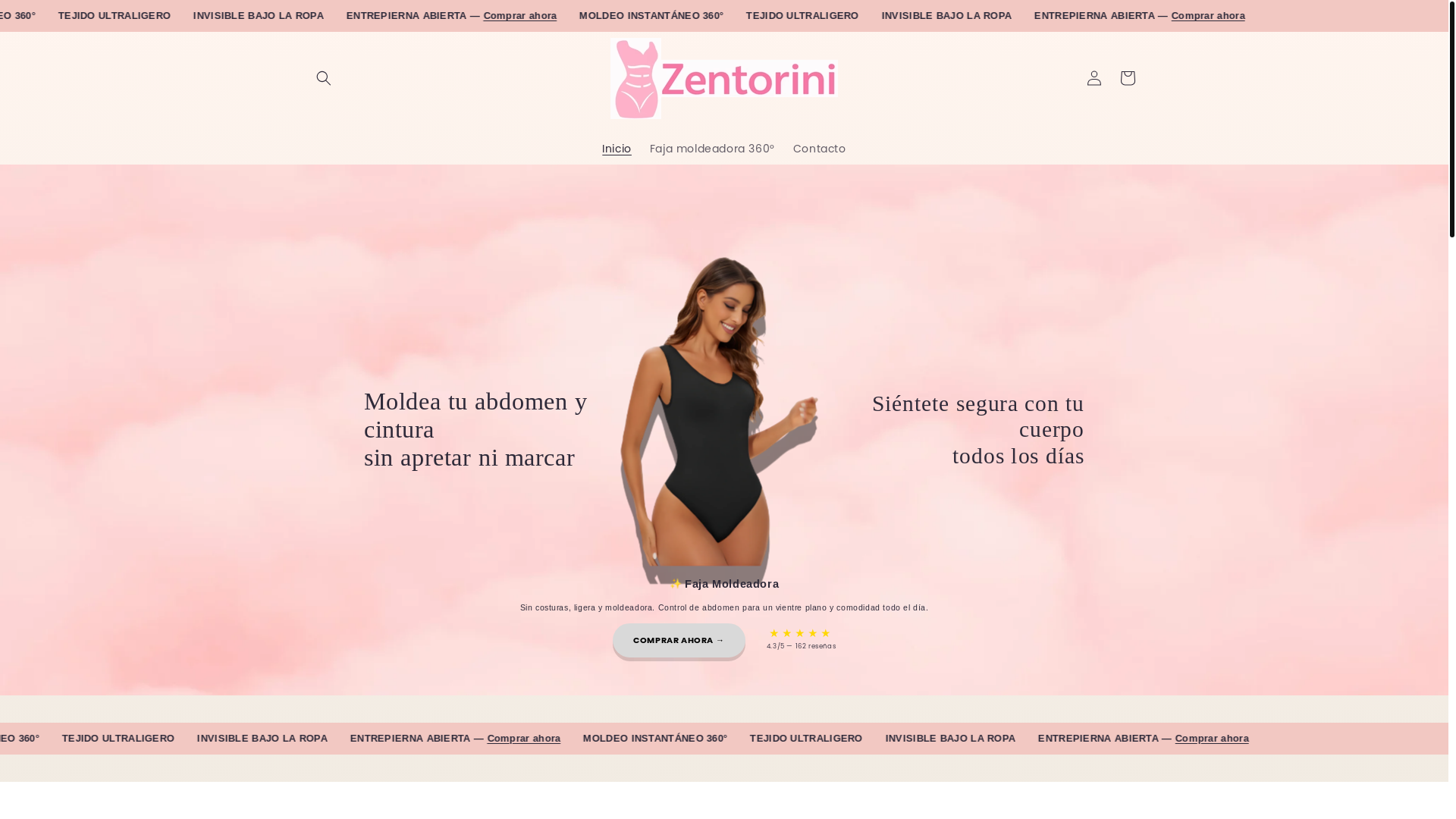 website screenshot of https://zentorini.com/