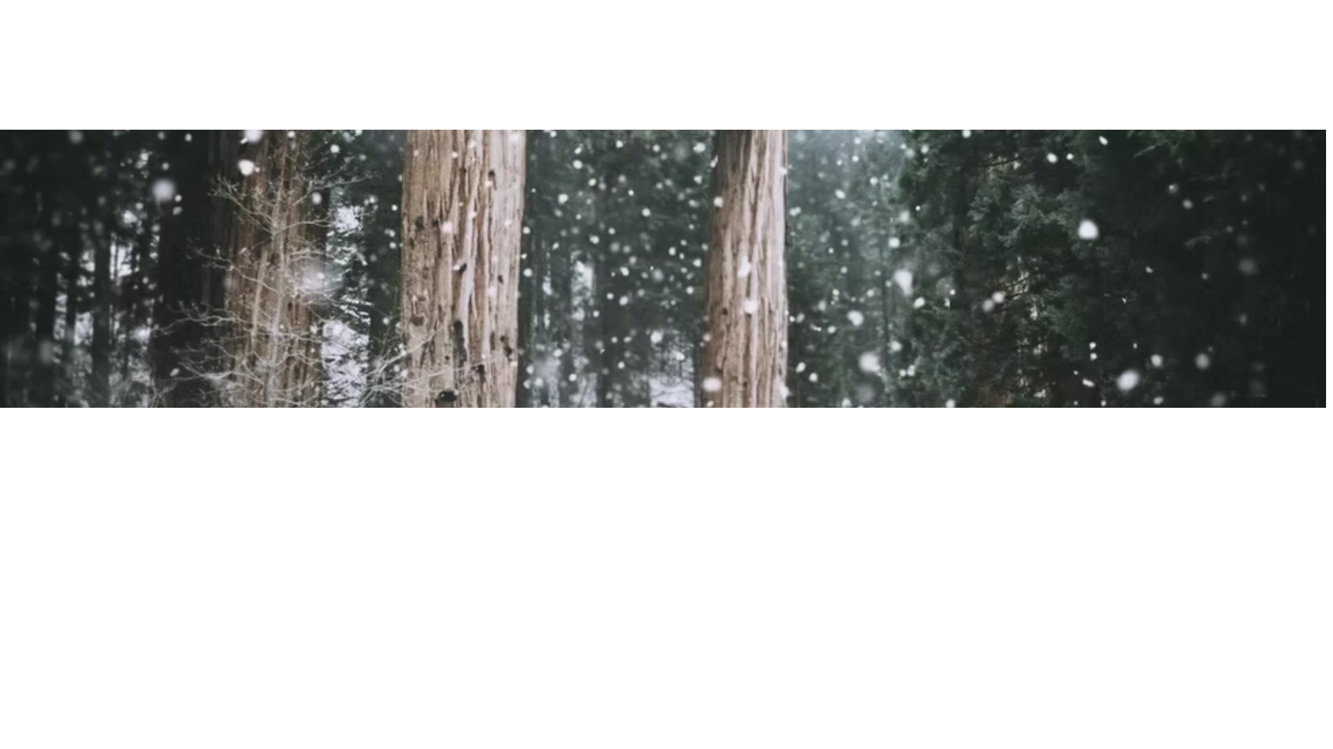 website screenshot of https://17junetestqa2.com/