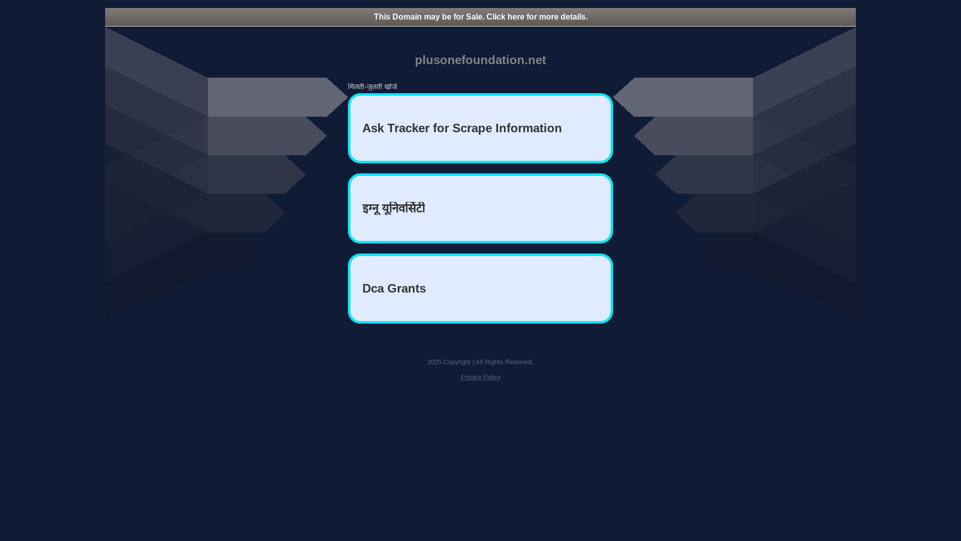 website screenshot of https://plusonefoundation.net/