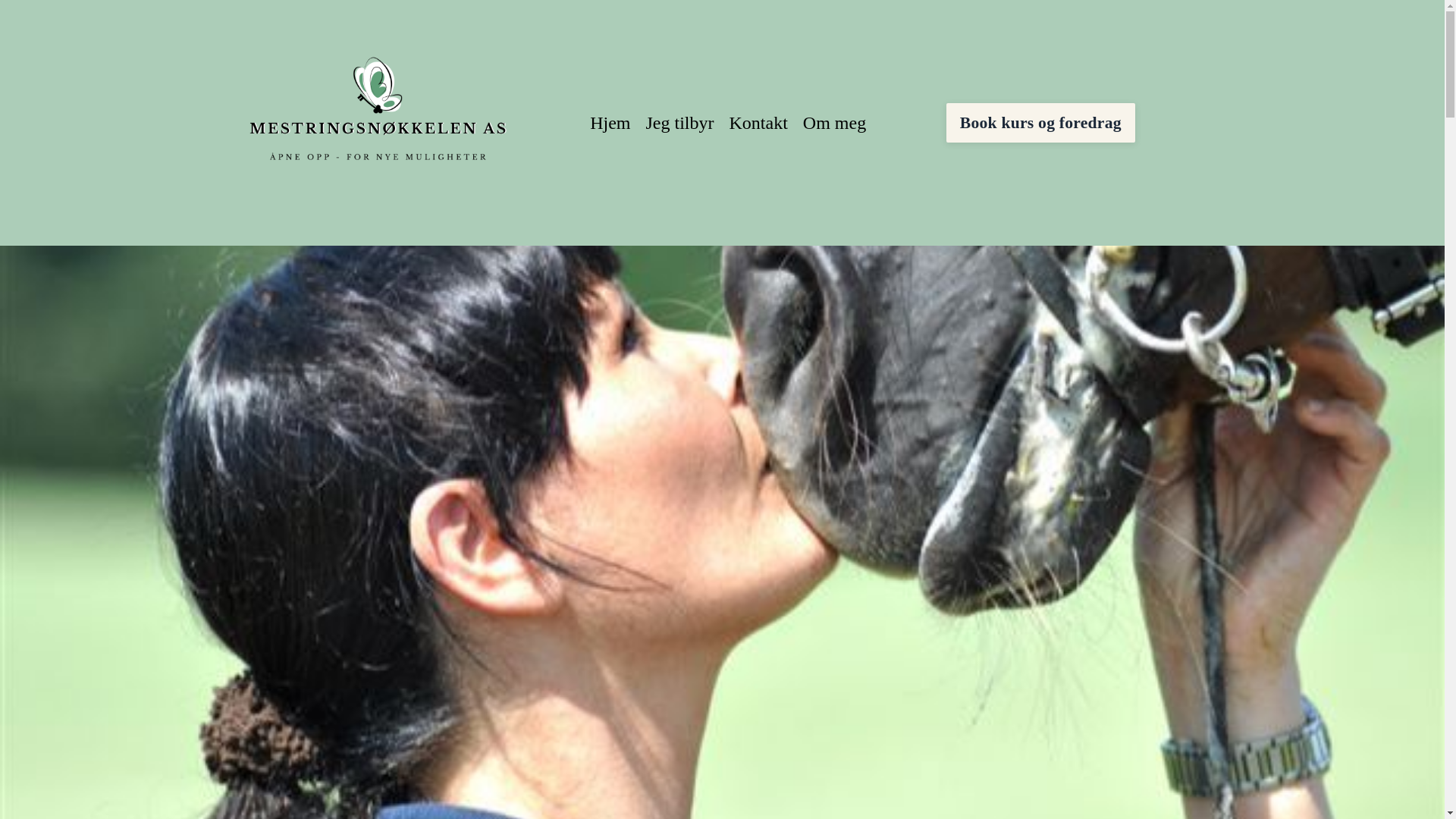 website screenshot of https://xn--mestringsnkkelen-uxb.no/