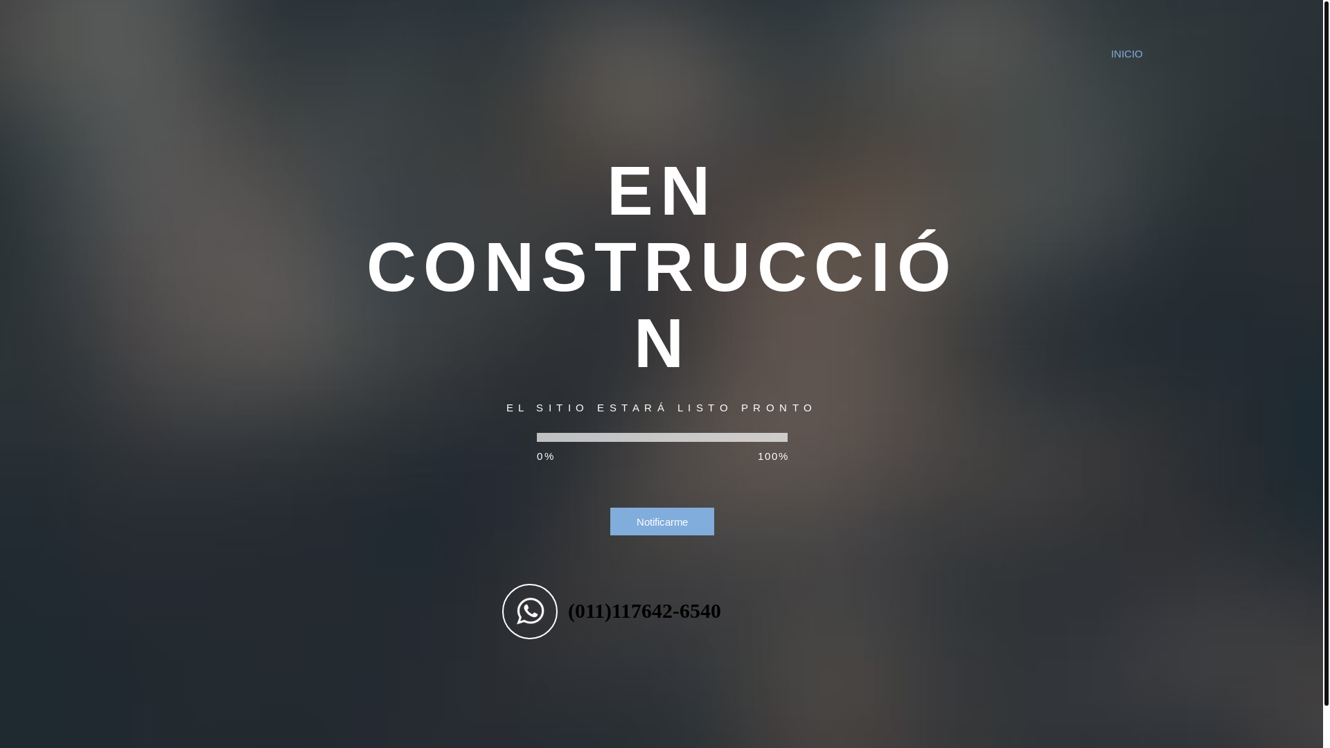 website screenshot of https://plantaponce.com/