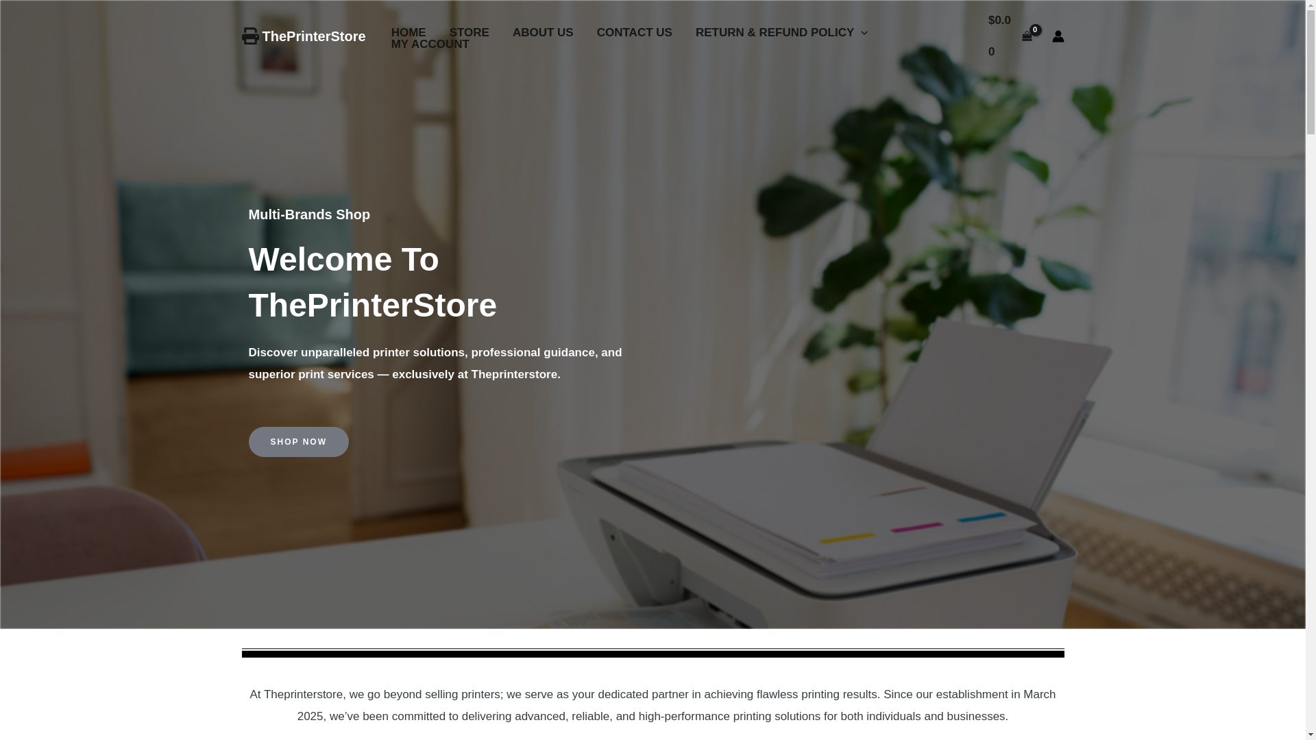 website screenshot of https://theprinterstore.site/