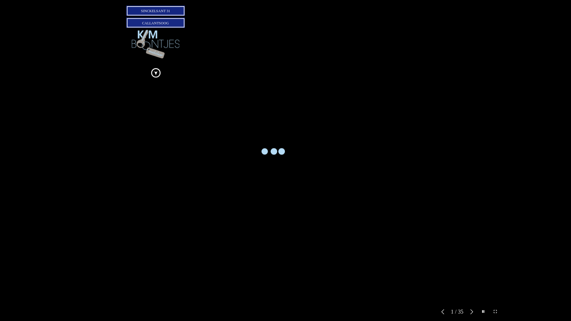 website screenshot of https://sinckelsant31.nl/