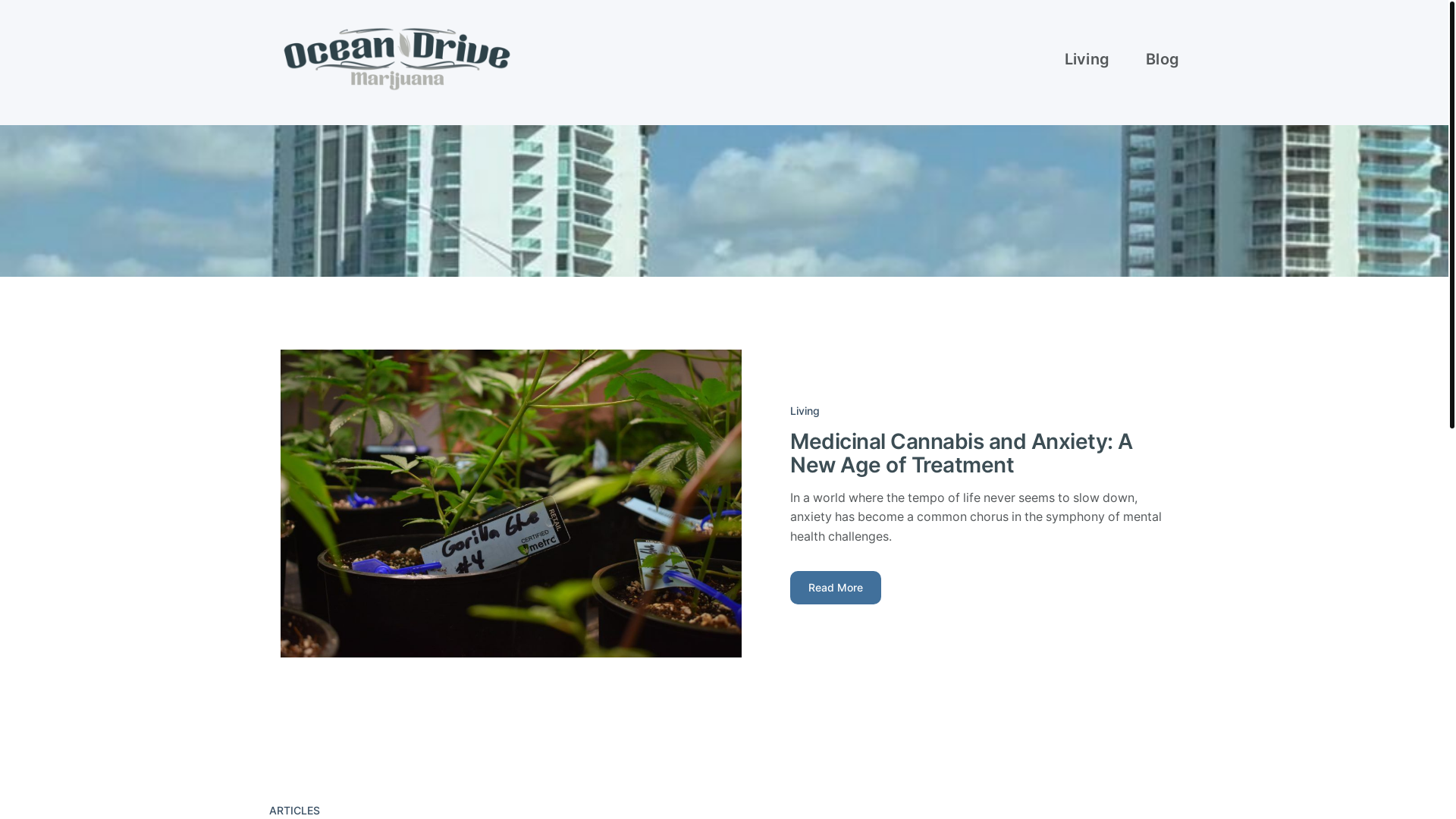 website screenshot of https://oceandrivemarijuana-com.pages.dev/