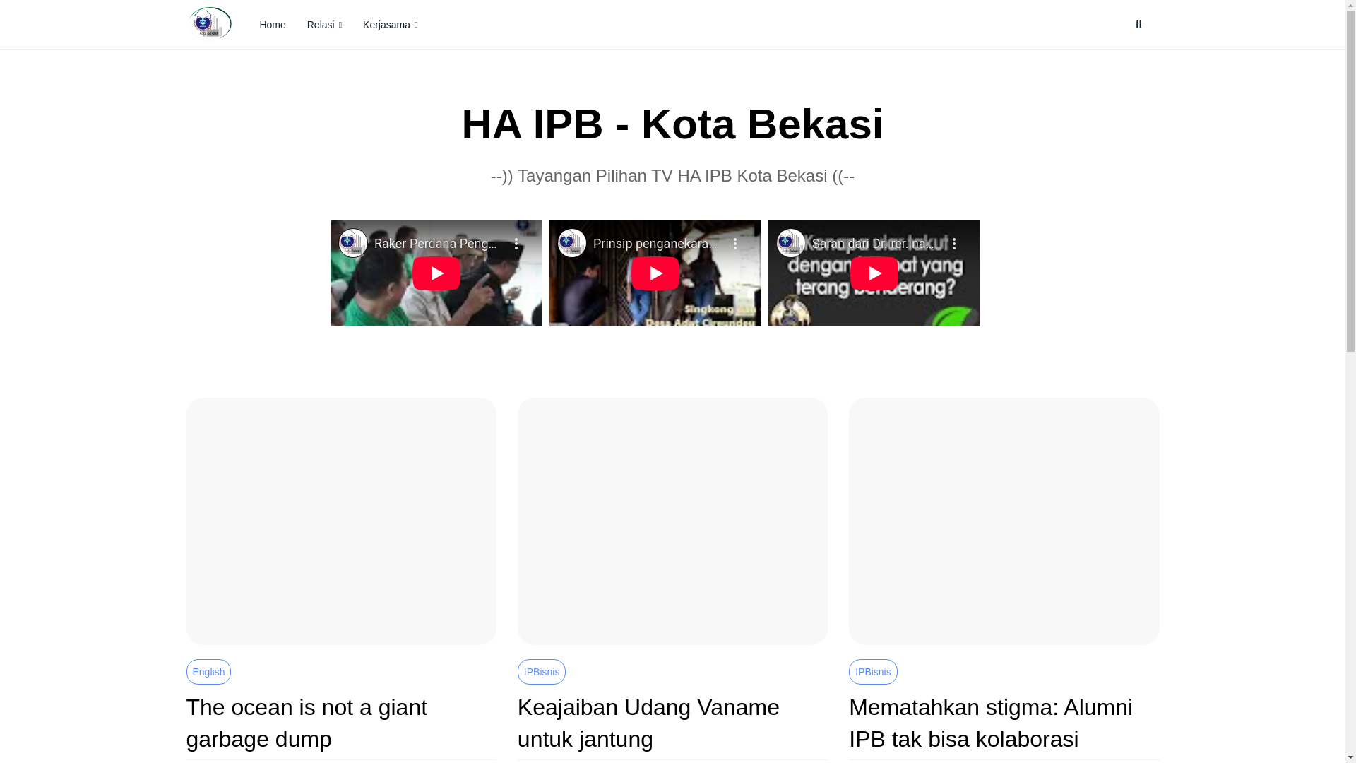 website screenshot of https://haipbkotabekasi.org/