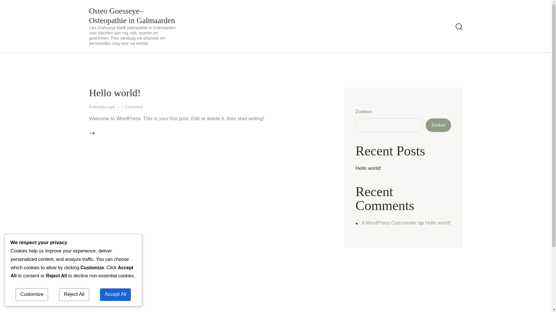 website screenshot of https://osteogoesseye.be/