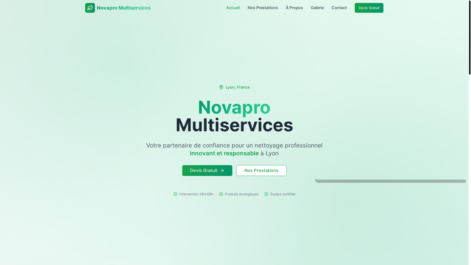 website screenshot of https://novapro-multiservices.fr/