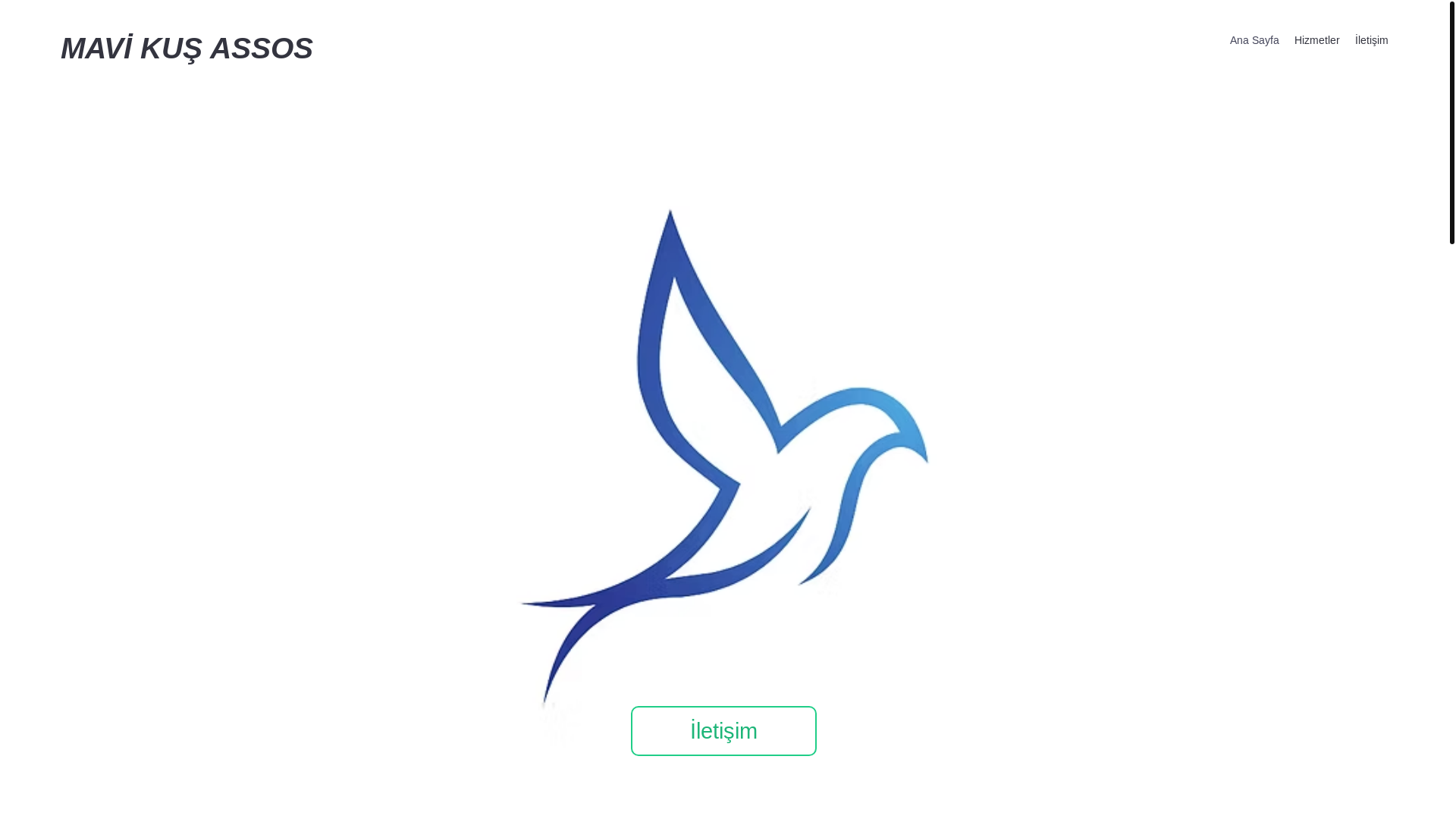 website screenshot of https://mavikusassos.com/