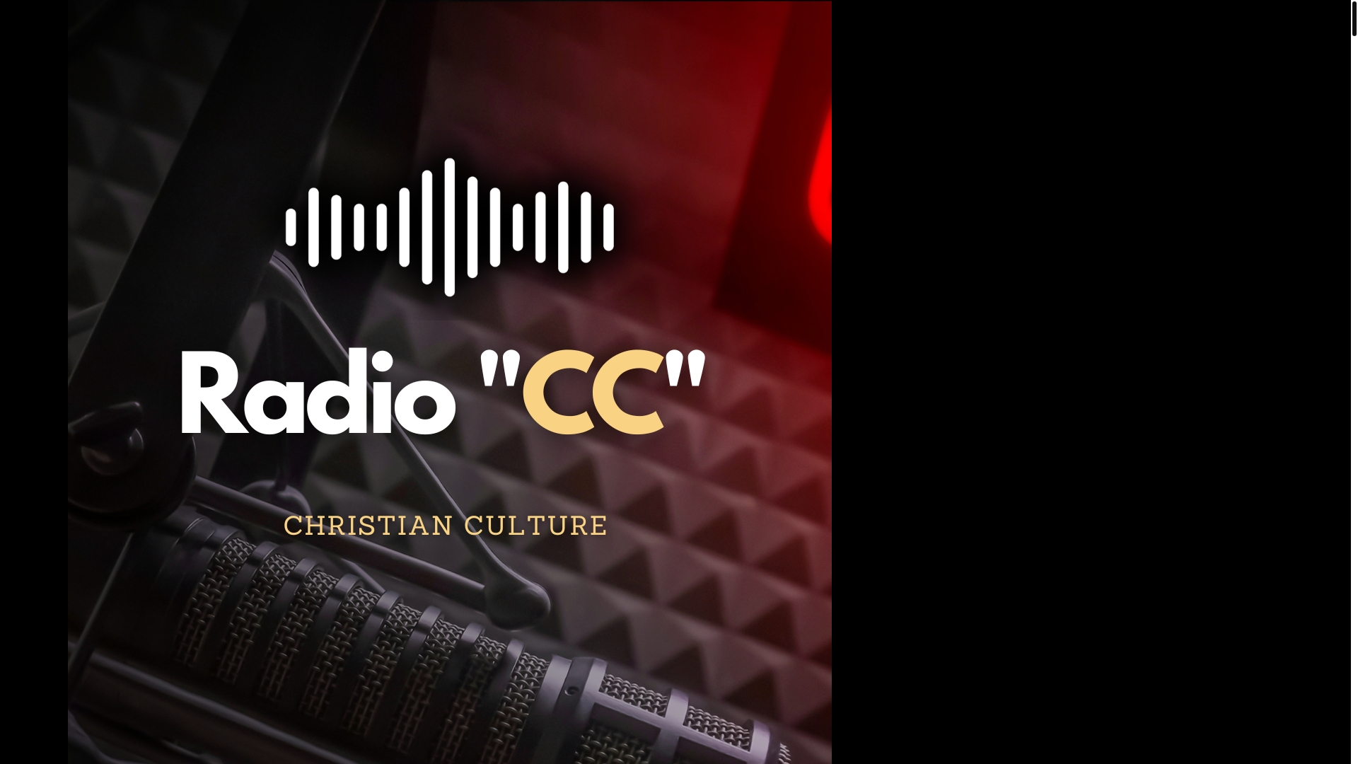 website screenshot of https://polskieradio.cc/