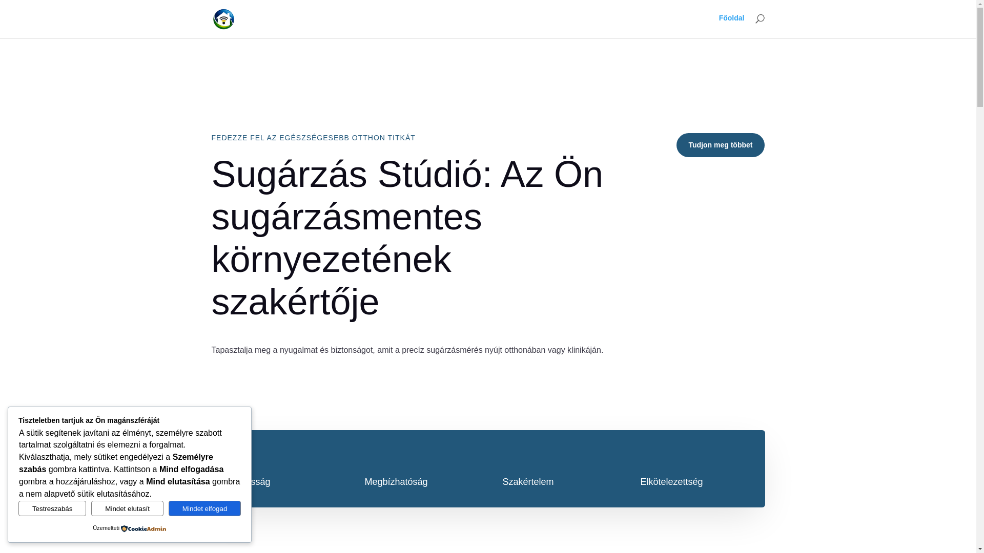 website screenshot of https://sugarzasstudio.hu/