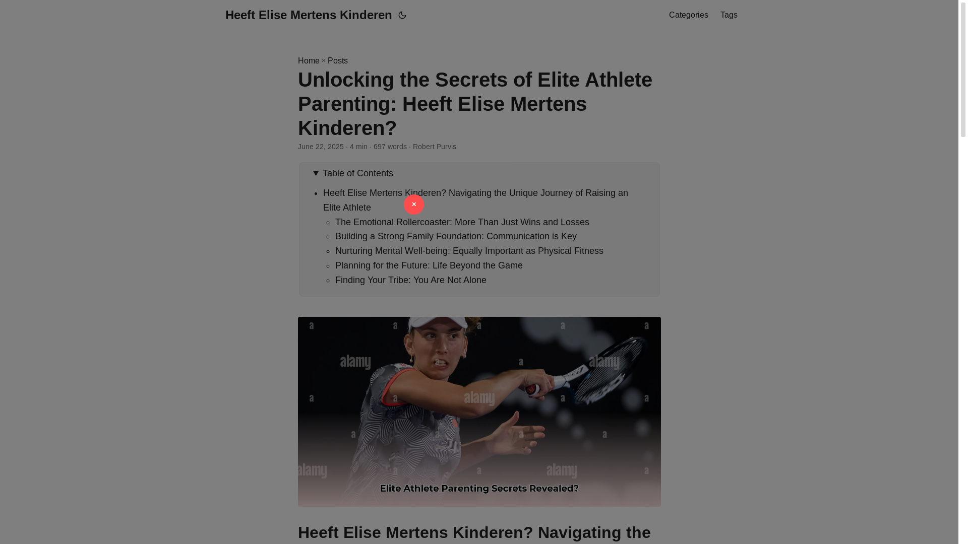 website screenshot of https://heeft-elise-mertens-kinderen.pages.dev/