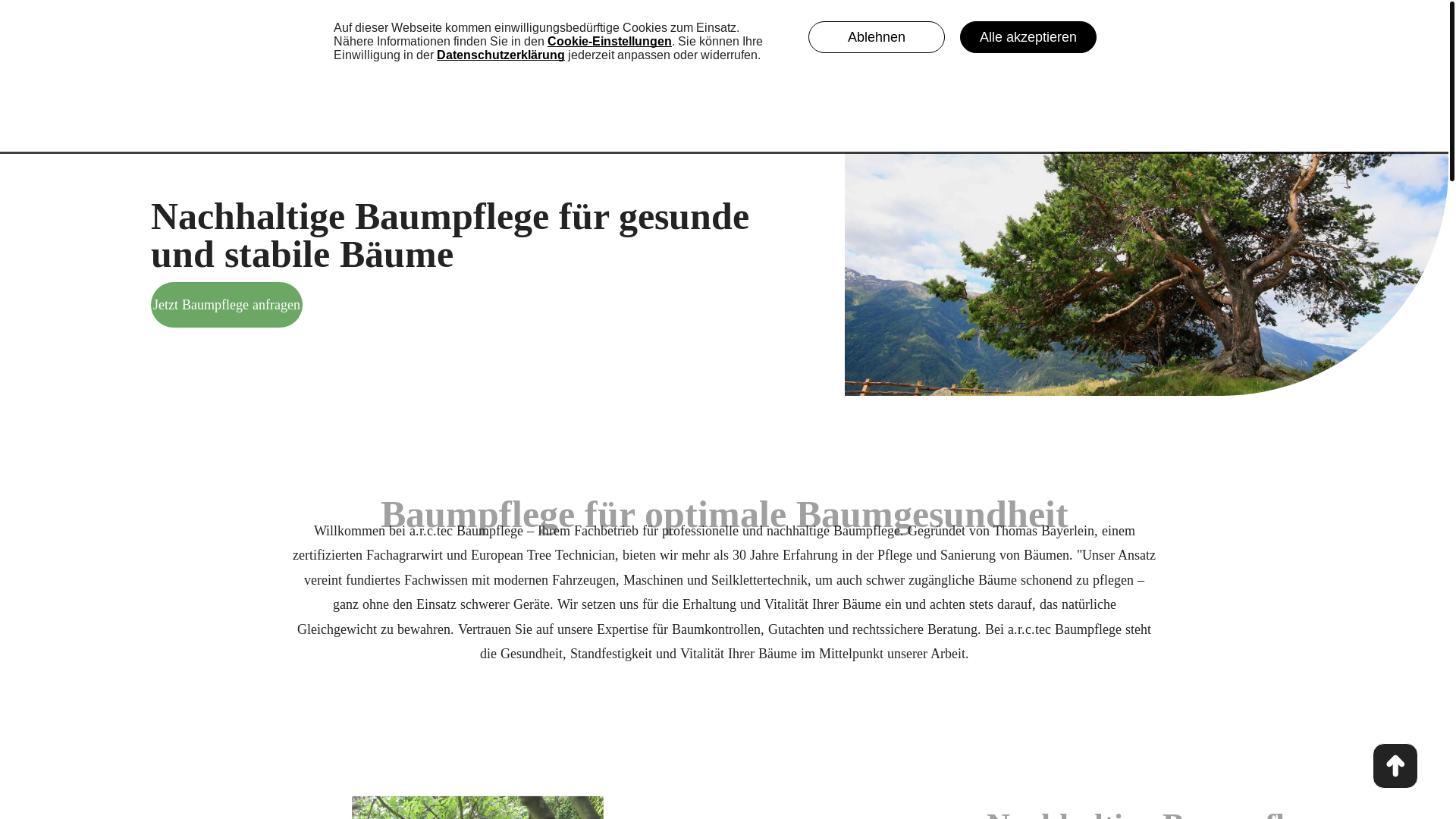 website screenshot of https://xn--baumsachverstndiger-bayerlein-dqc.de/