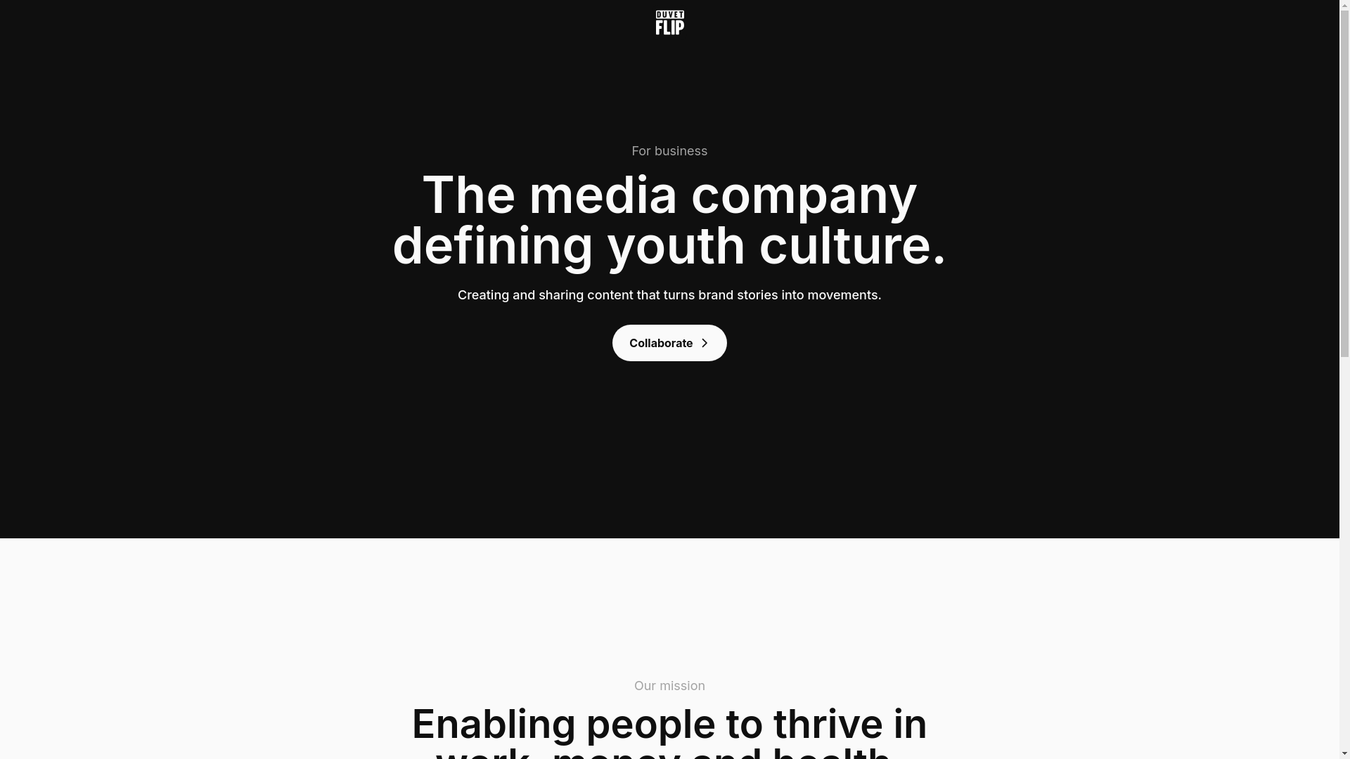 website screenshot of https://www.business.duvetflip.com/