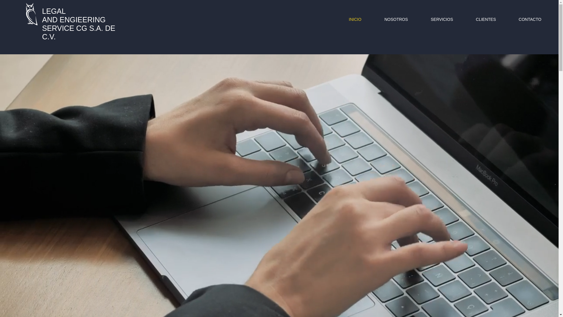website screenshot of https://legalengieering.com/