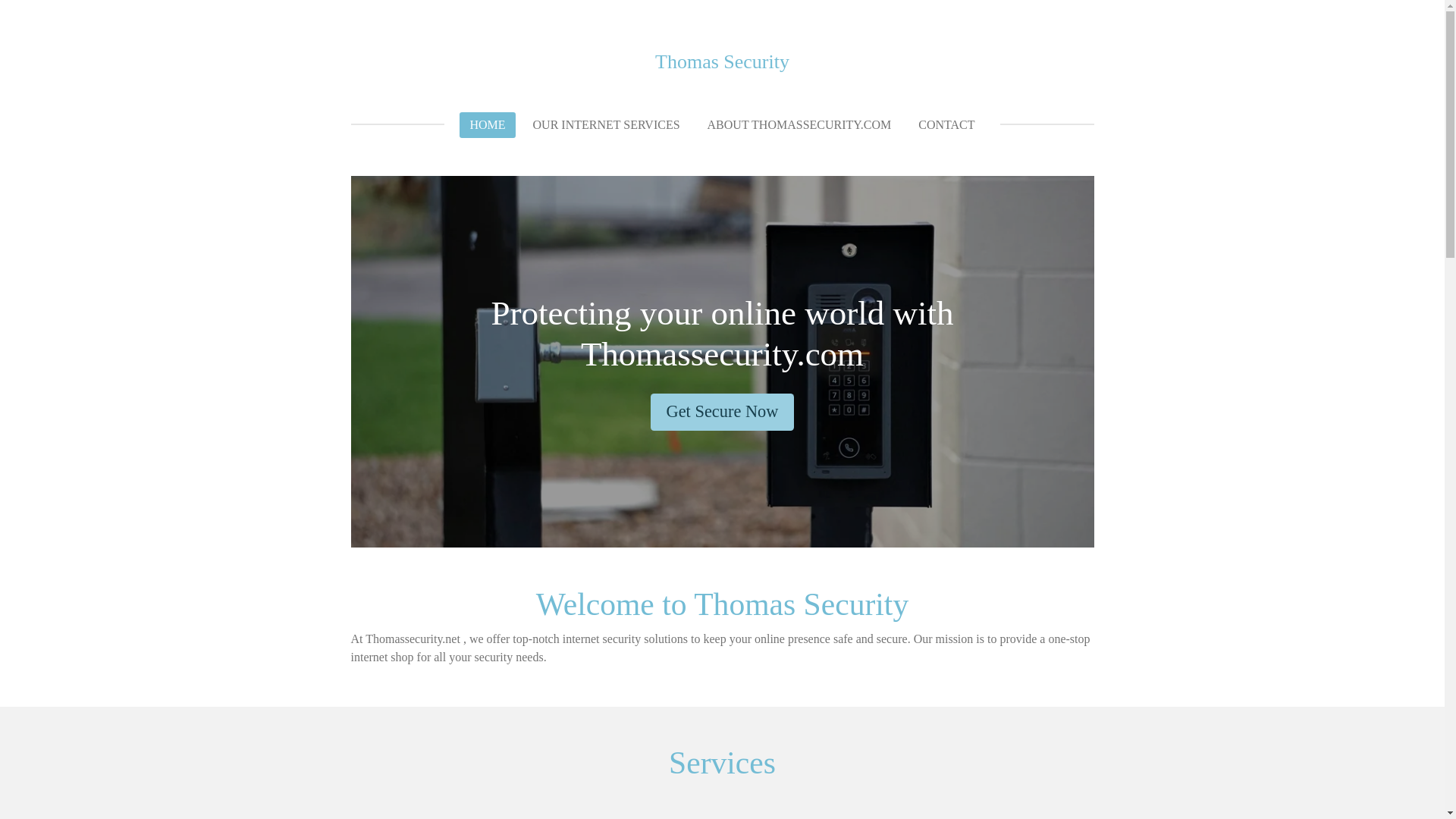 website screenshot of https://thomassecurity.net/