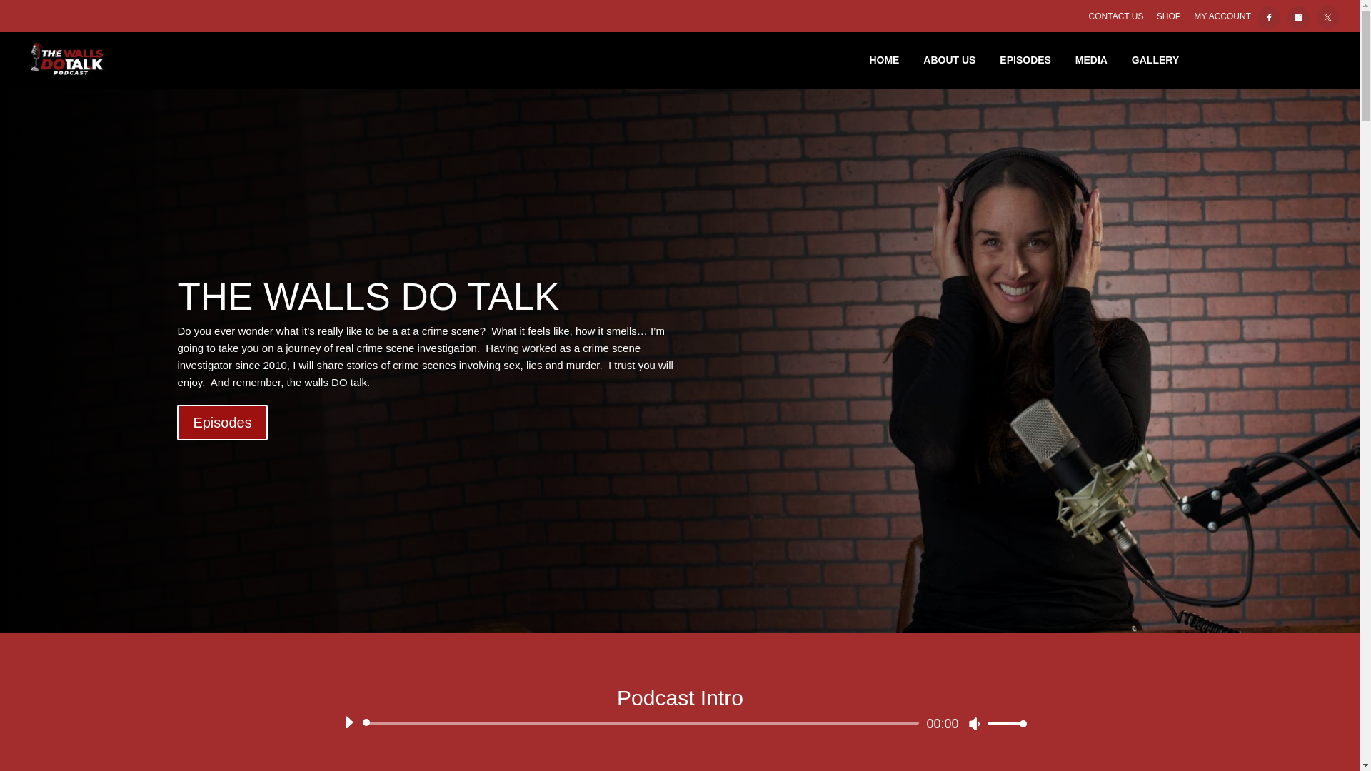 website screenshot of https://thewallsdotalk.pages.dev/