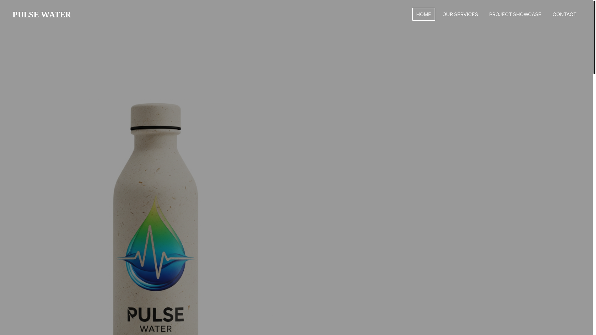 website screenshot of https://pulsewater.org/