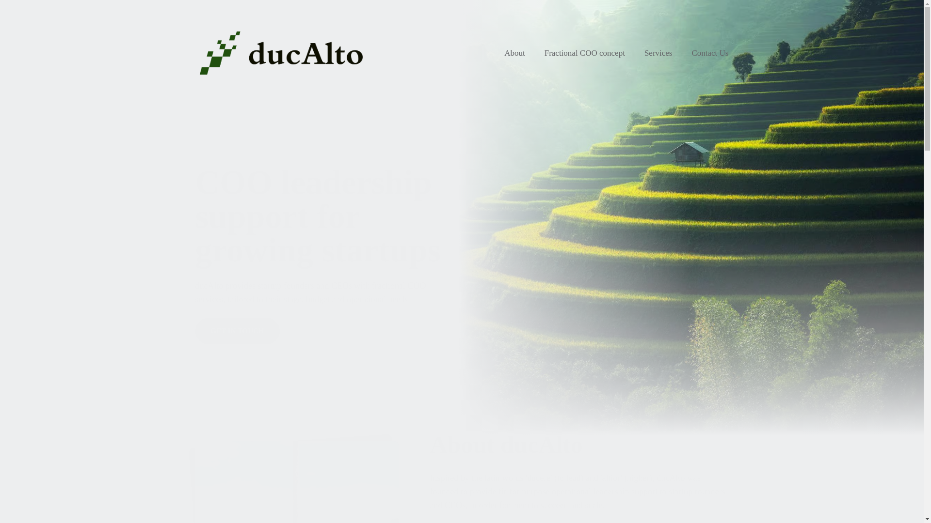 website screenshot of https://ducalto.online/