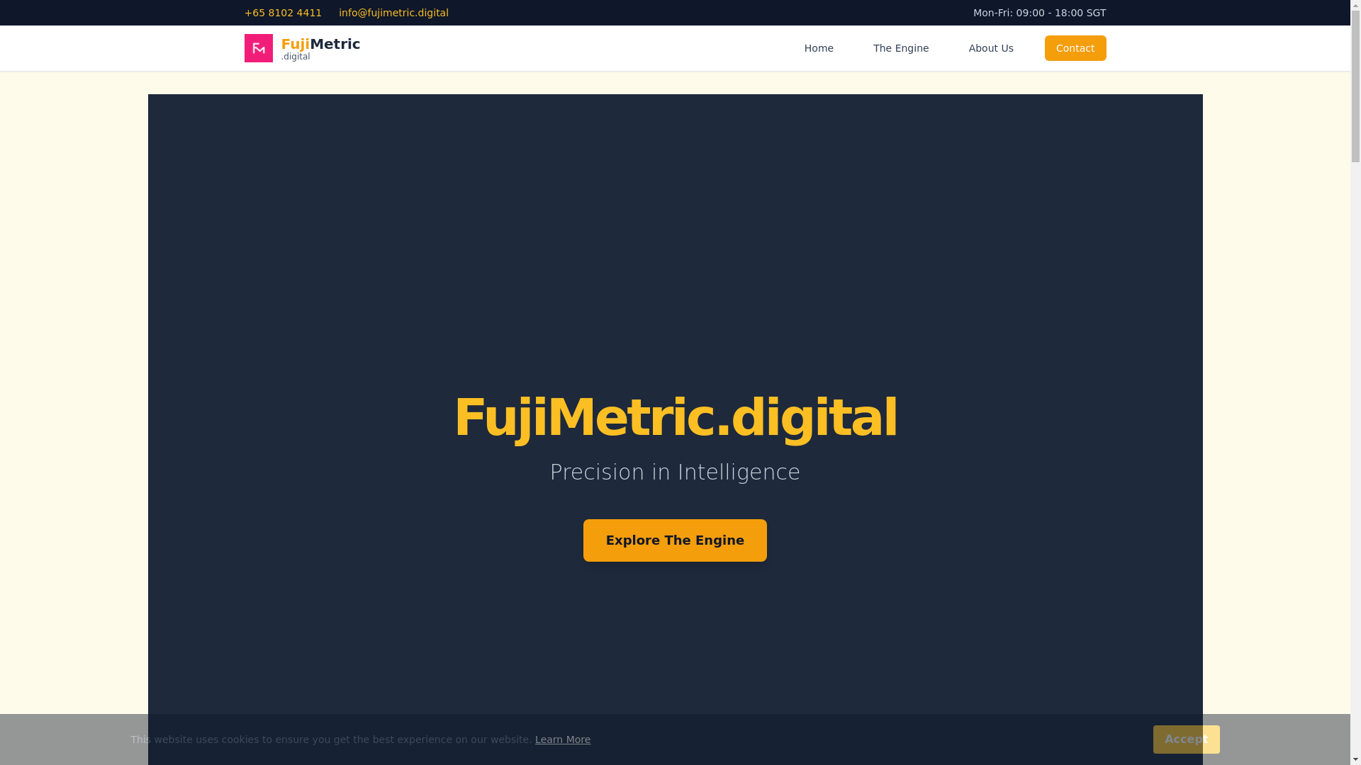 website screenshot of https://fujimetric.digital/