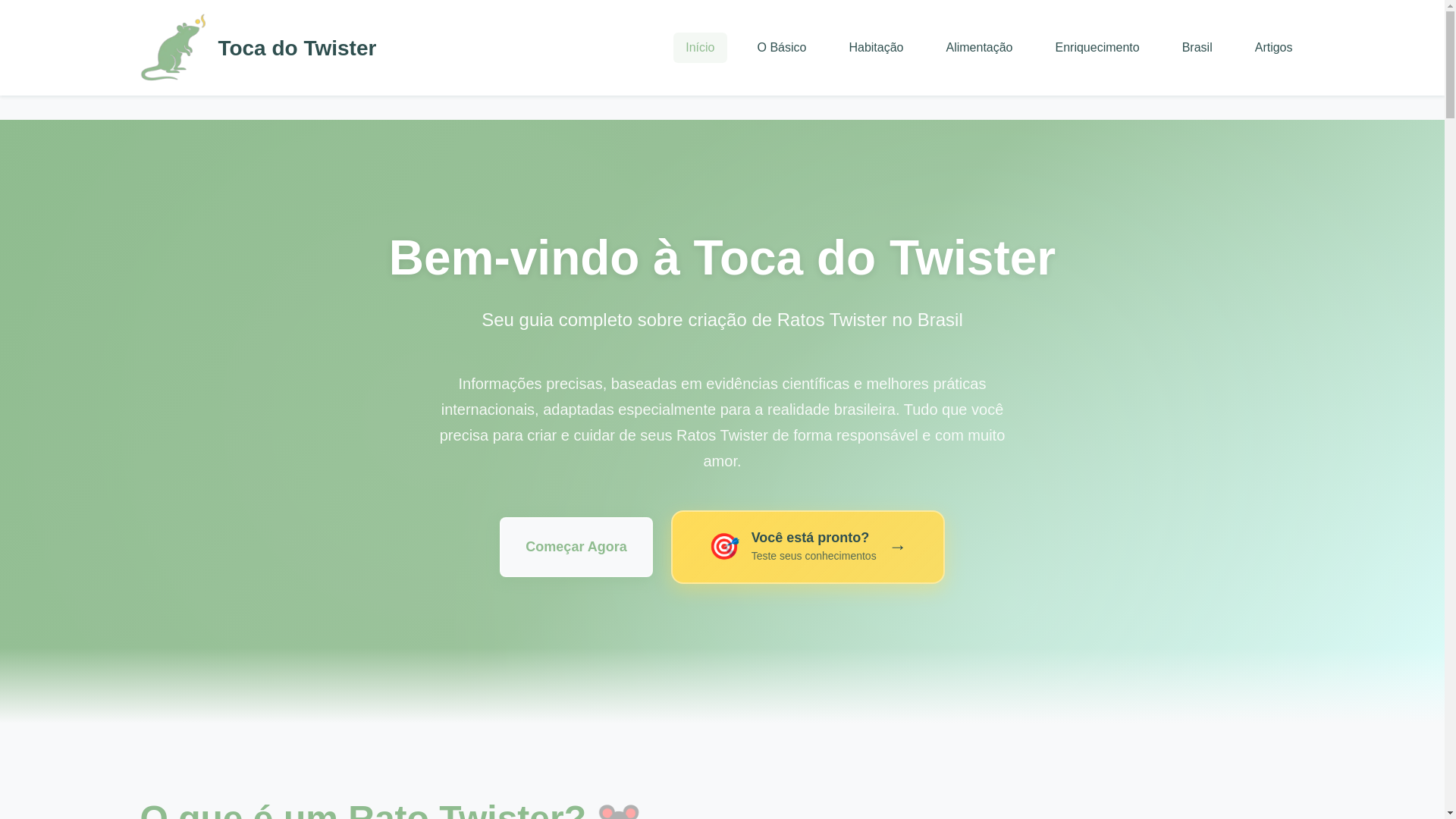 website screenshot of https://tocadotwister.com.br/