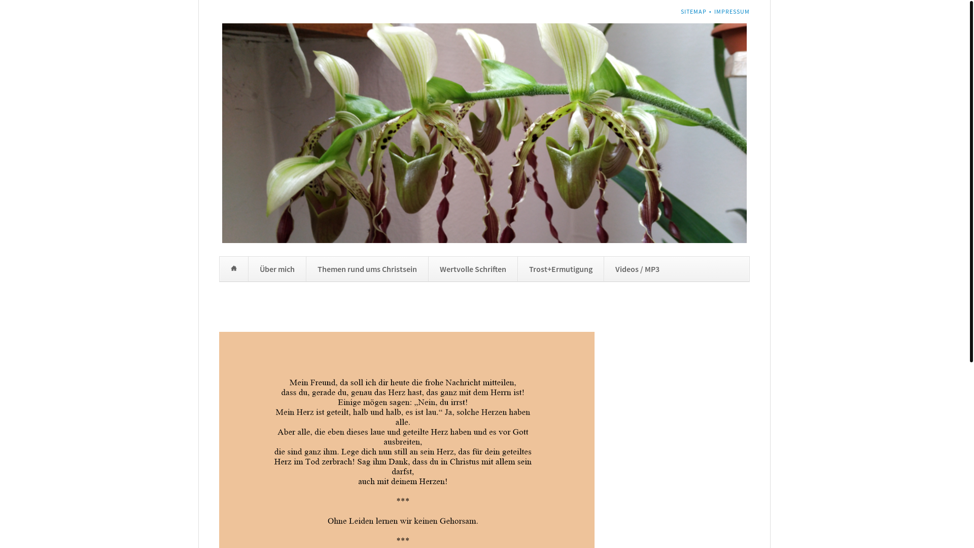 website screenshot of https://viel-gnade-leben.ch/