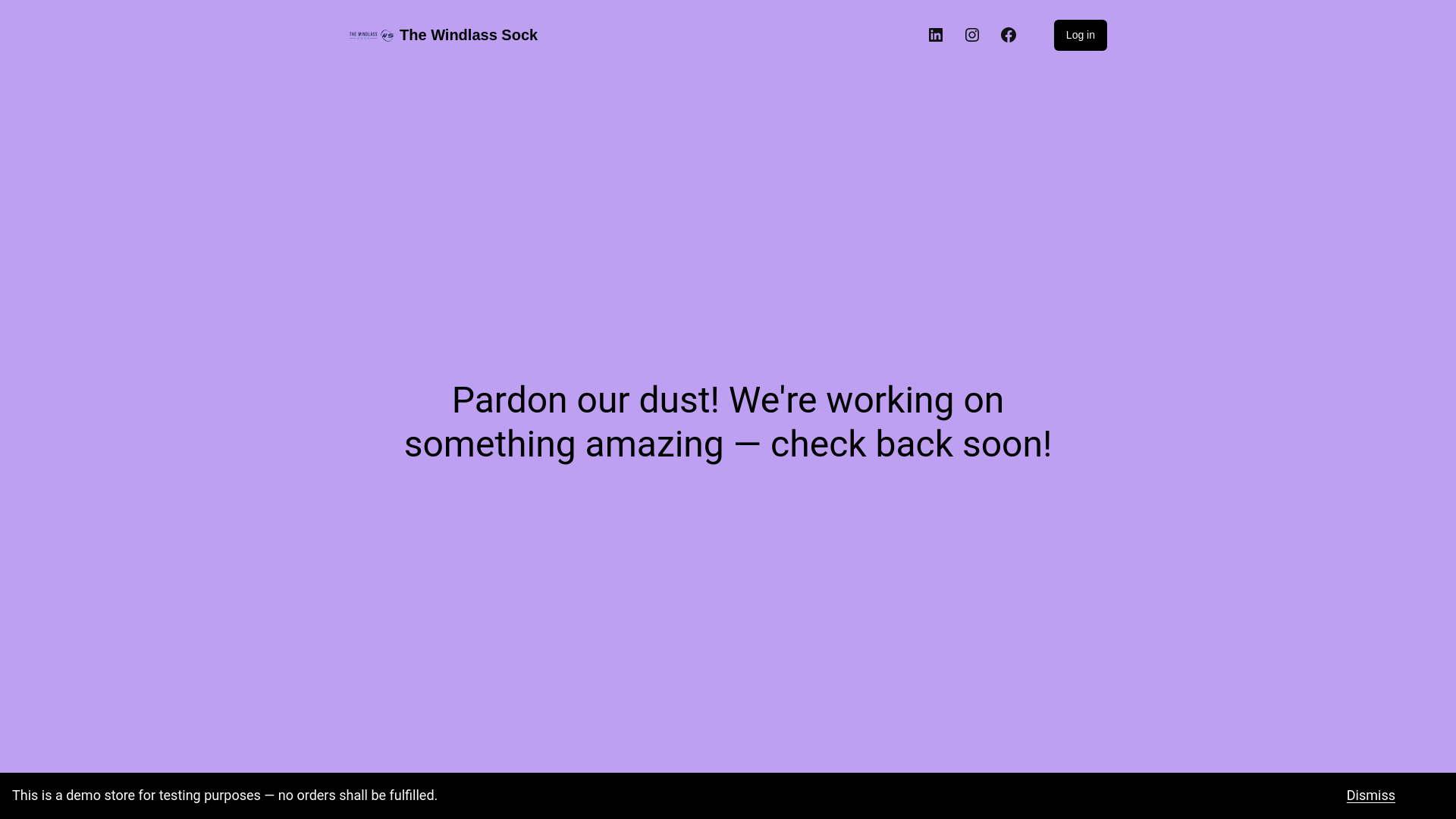 website screenshot of https://thewindlassbrace.com/