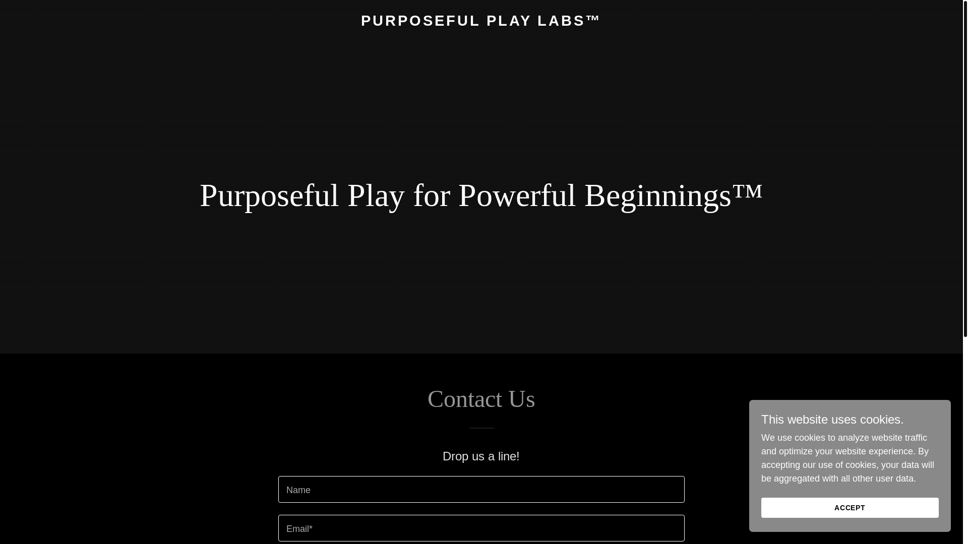 website screenshot of https://purposefulplaylabs.com/