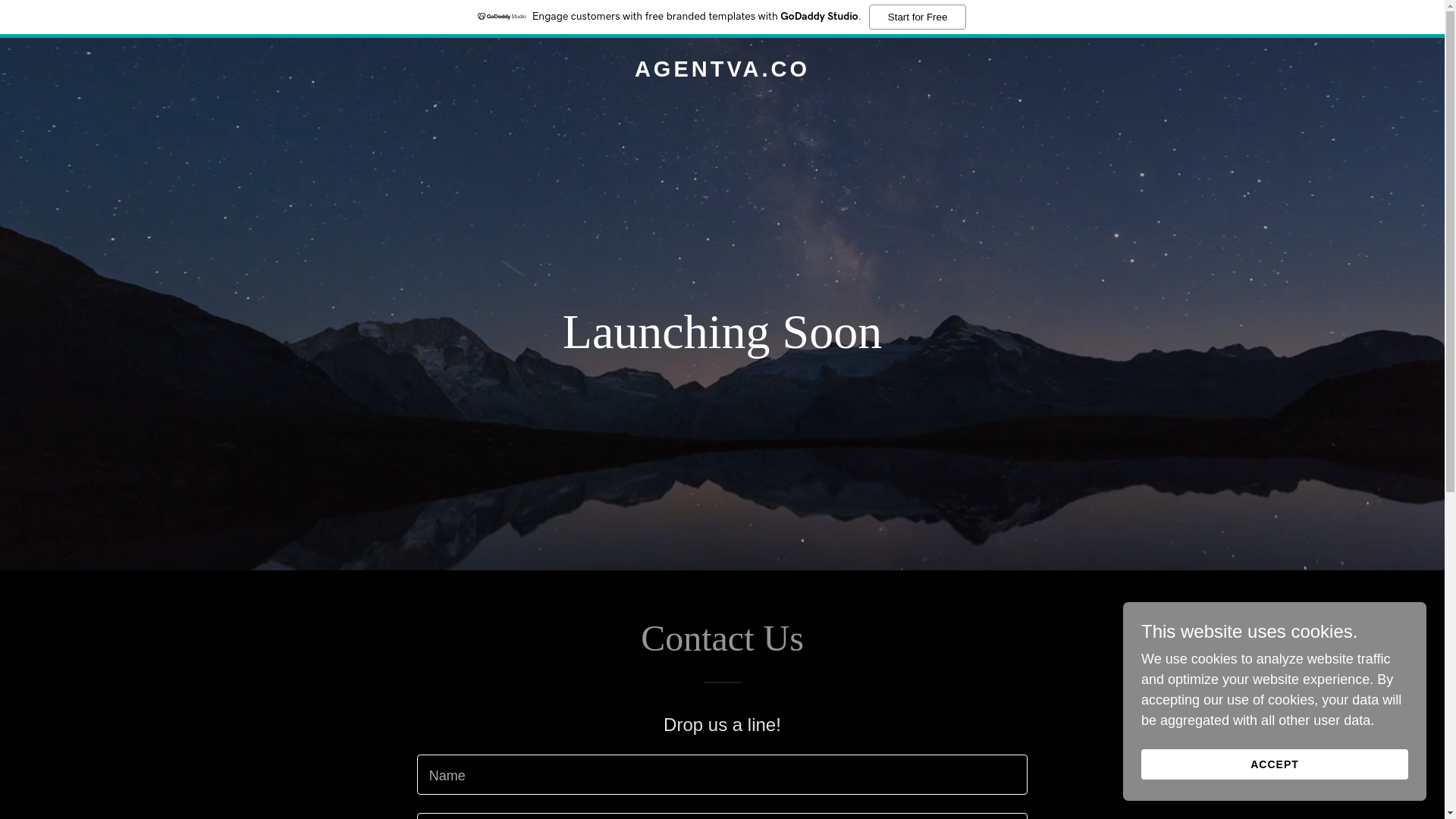 website screenshot of https://agentva.co/