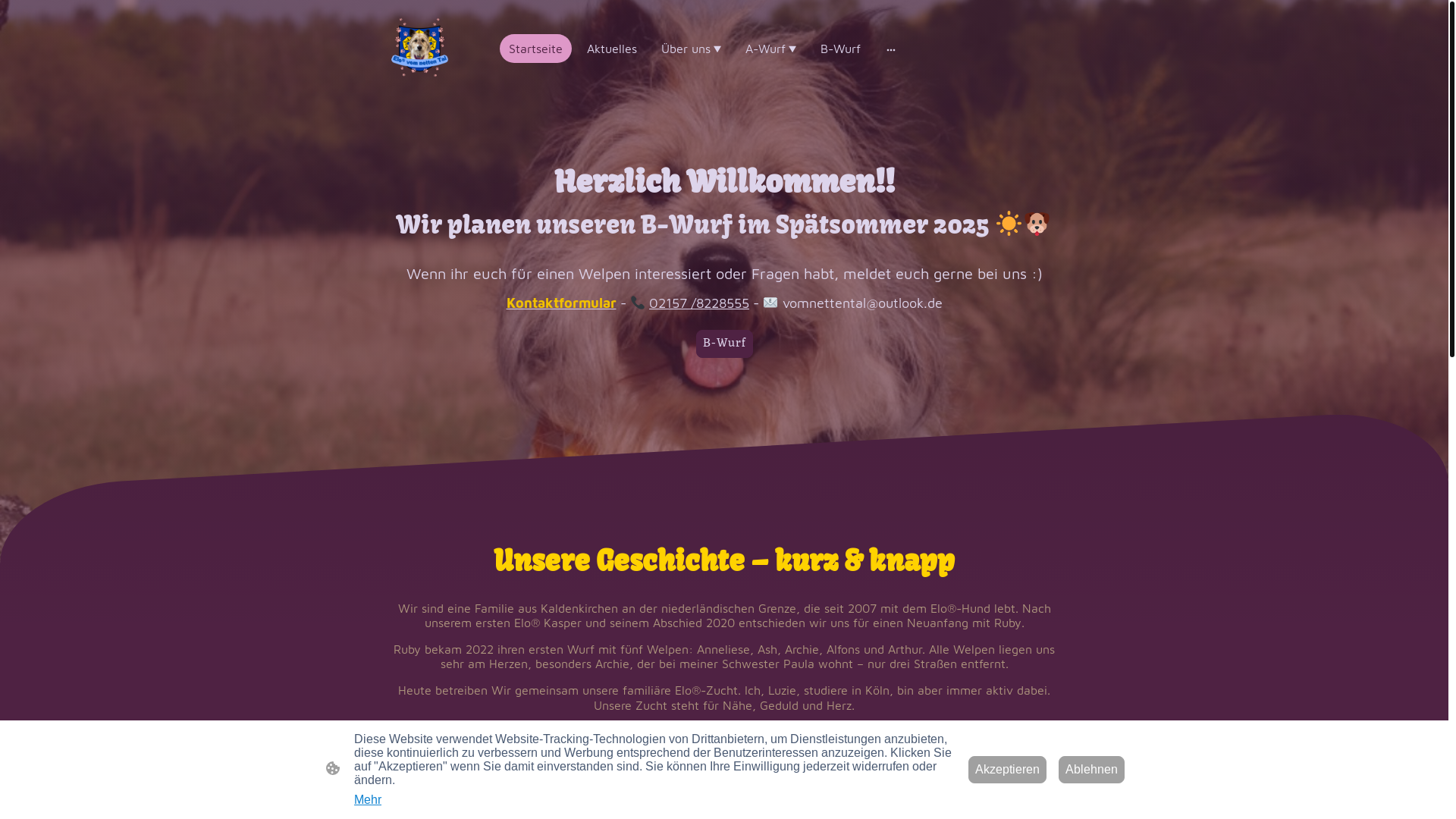 website screenshot of https://elovomnettental.de/