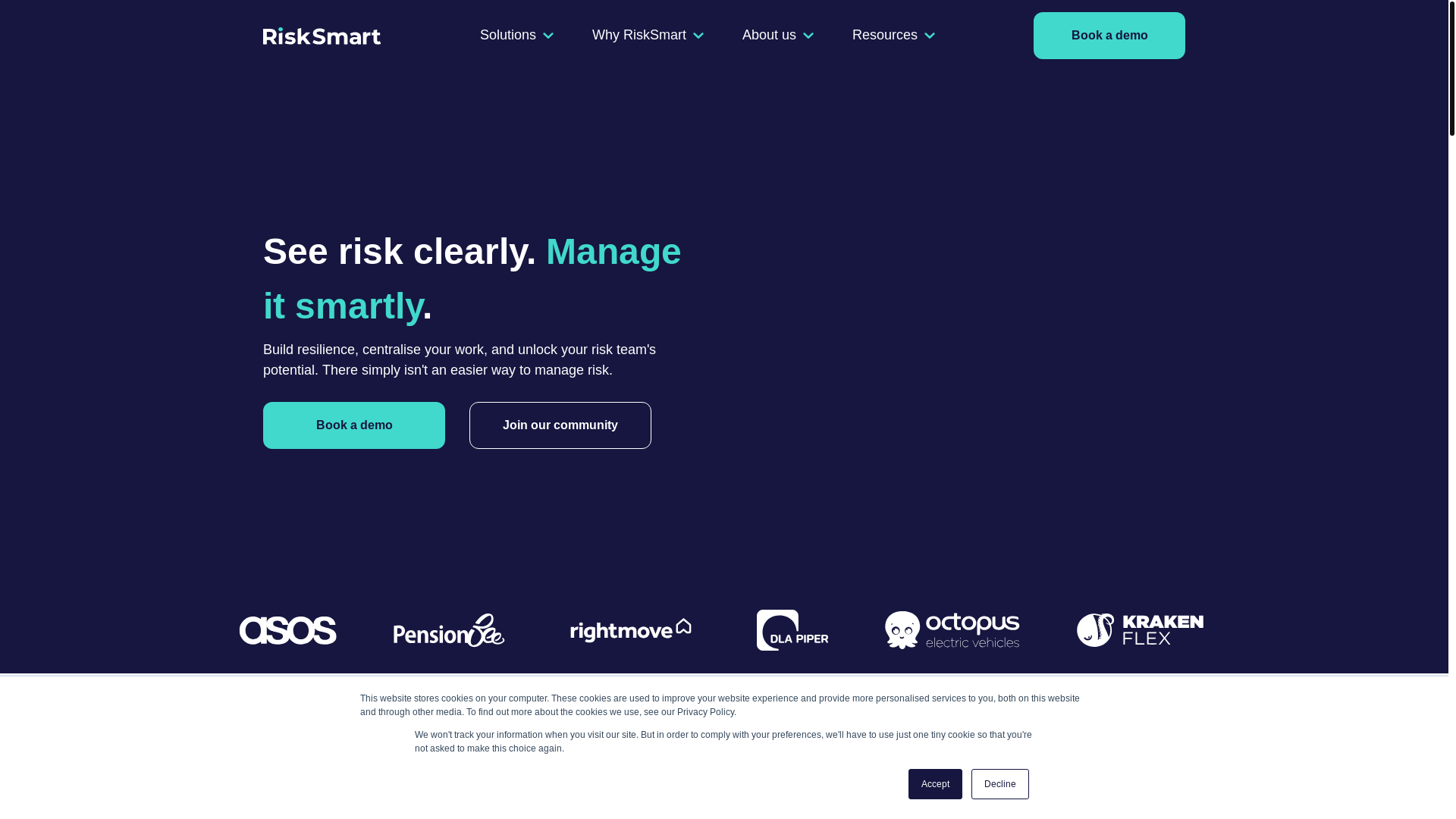 website screenshot of https://risksmartmanagement.com/
