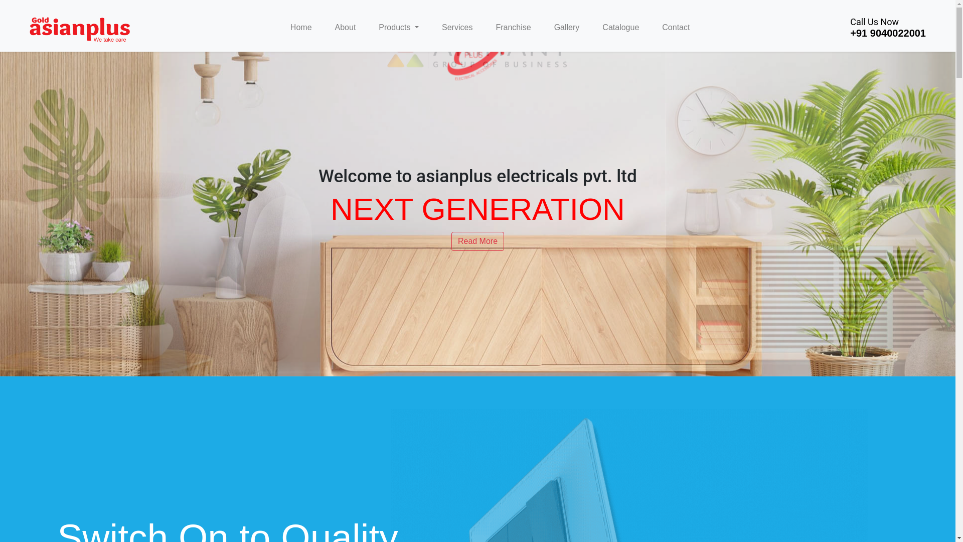 website screenshot of https://snayderrindia.com/