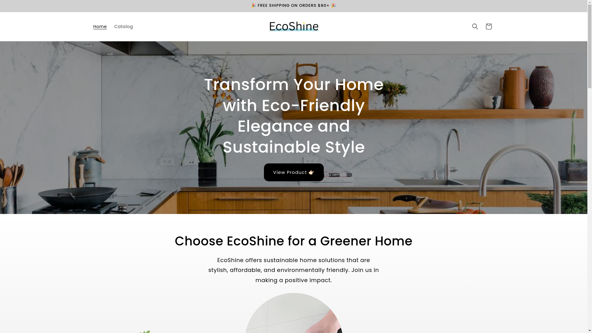 website screenshot of https://ecoshinehub.store/