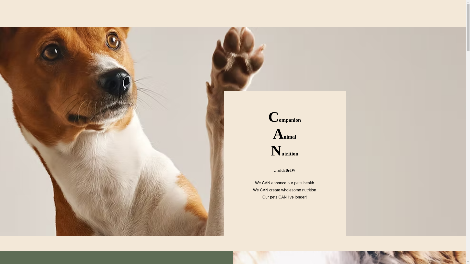 website screenshot of https://canwithbriw.com/