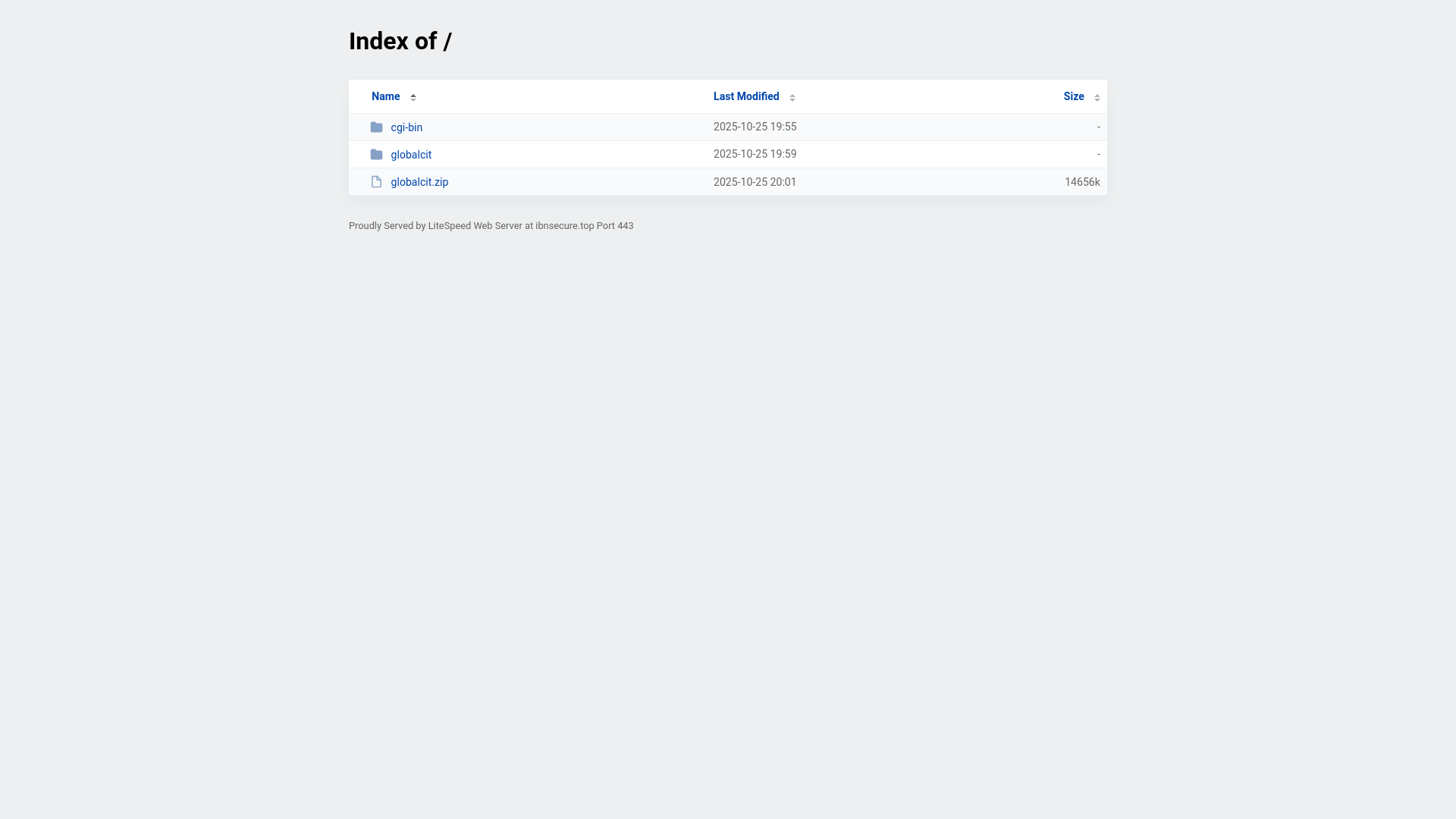 website screenshot of https://ibnsecure.top/