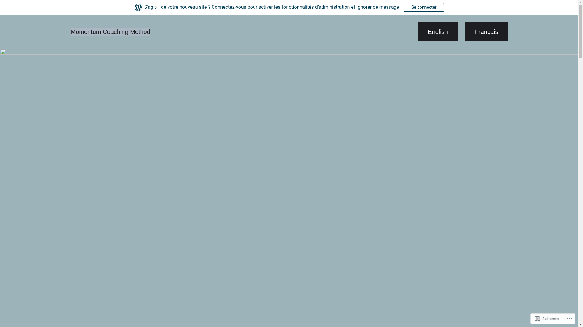 website screenshot of https://momentumcoachingmethod.ca/