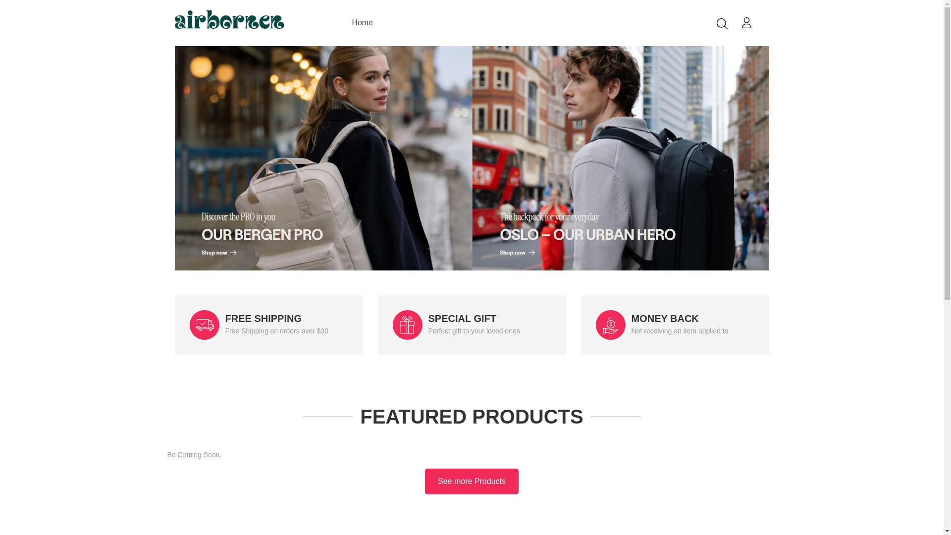 website screenshot of https://fastbimmer.com/