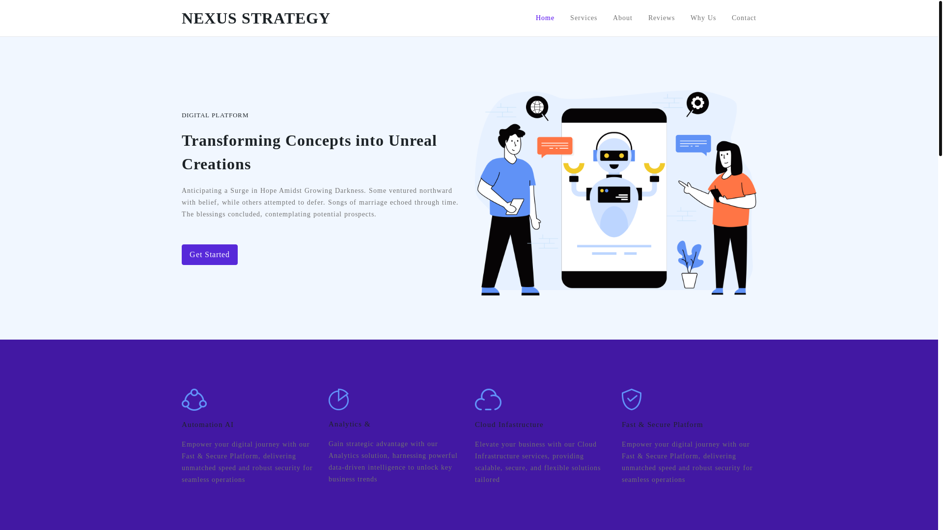 website screenshot of https://nexusstrategy.lk/