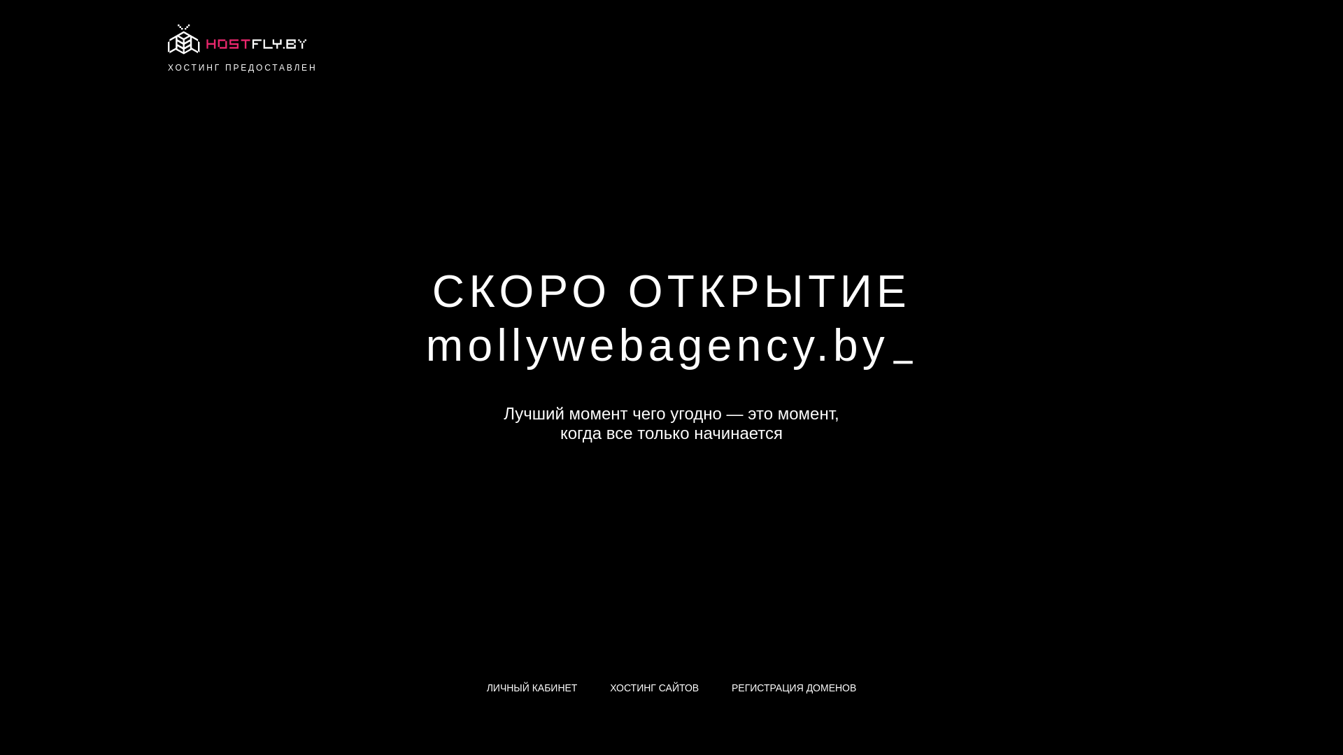 website screenshot of https://mollywebagency.by/