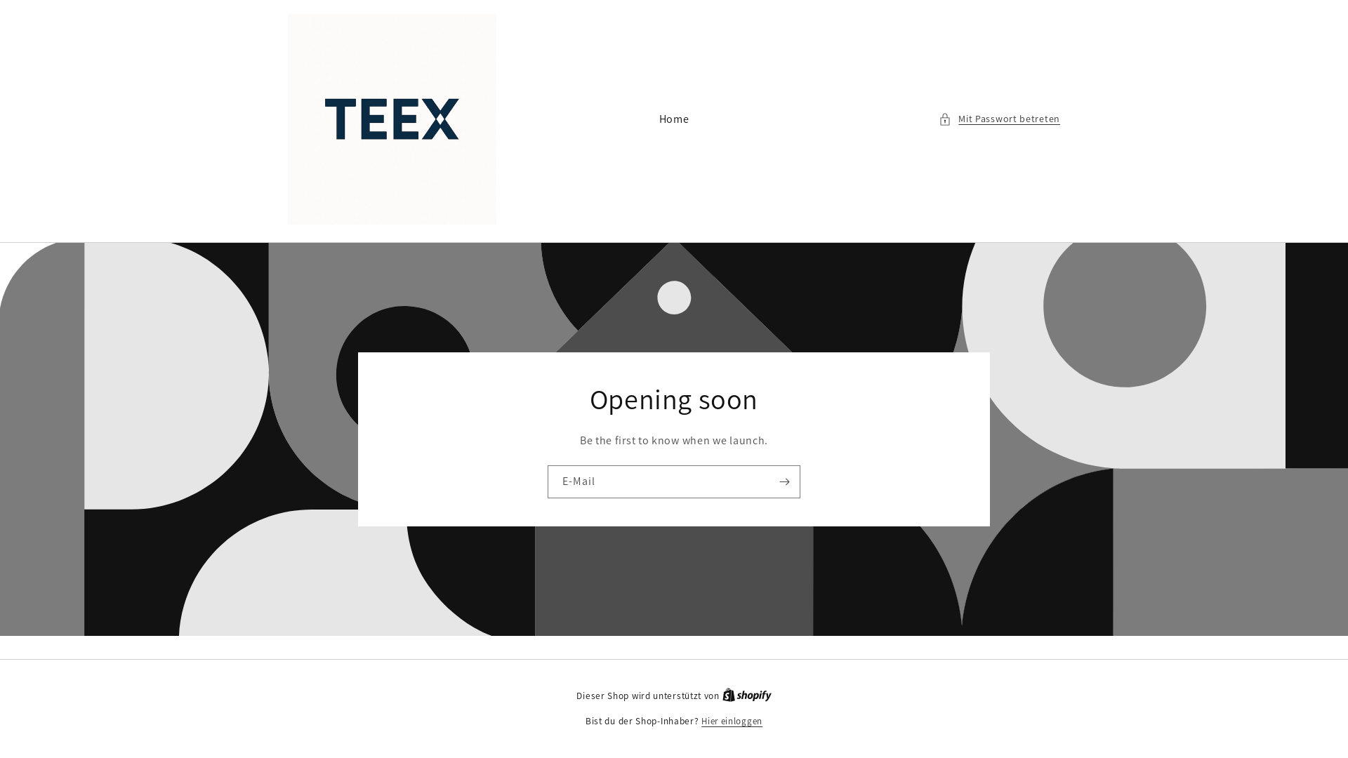 website screenshot of https://teex-swiss.ch/