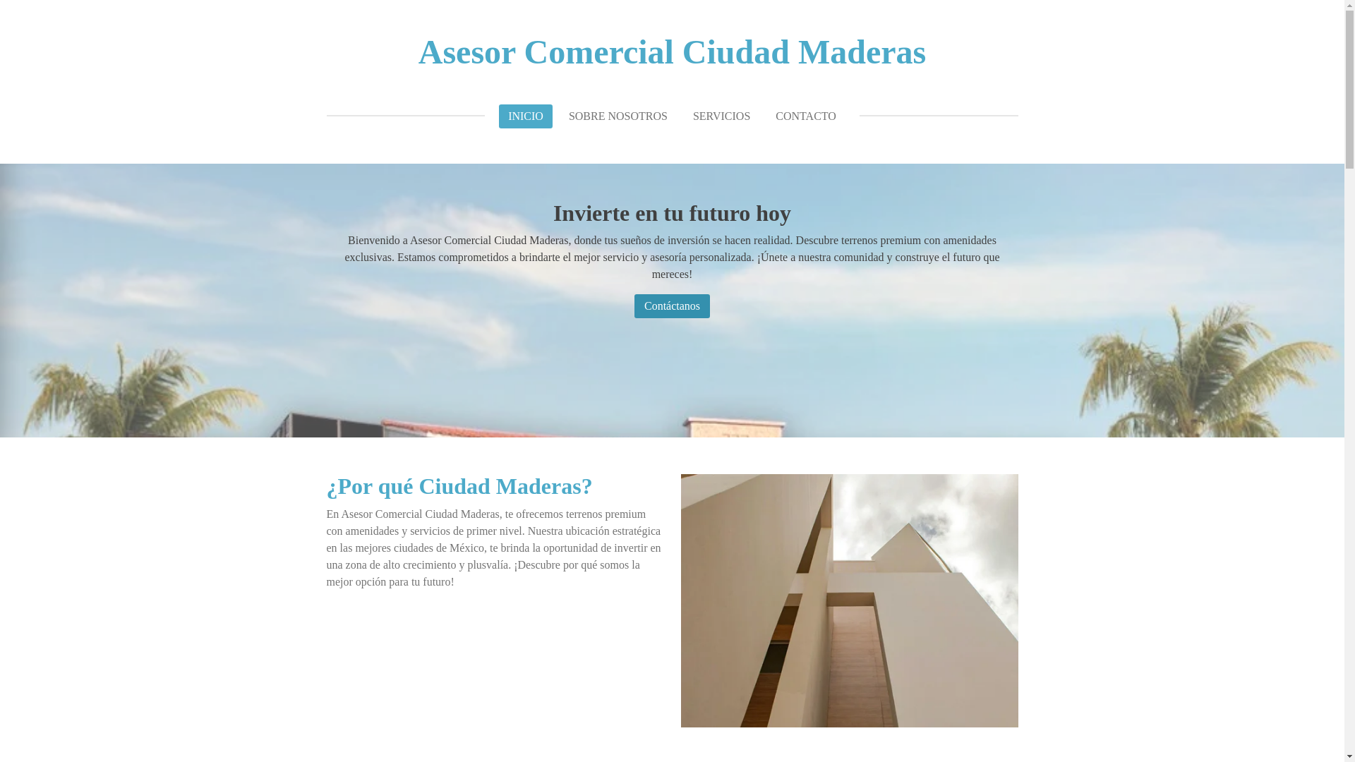 website screenshot of https://asesorcomercialciudadmaderas.com/