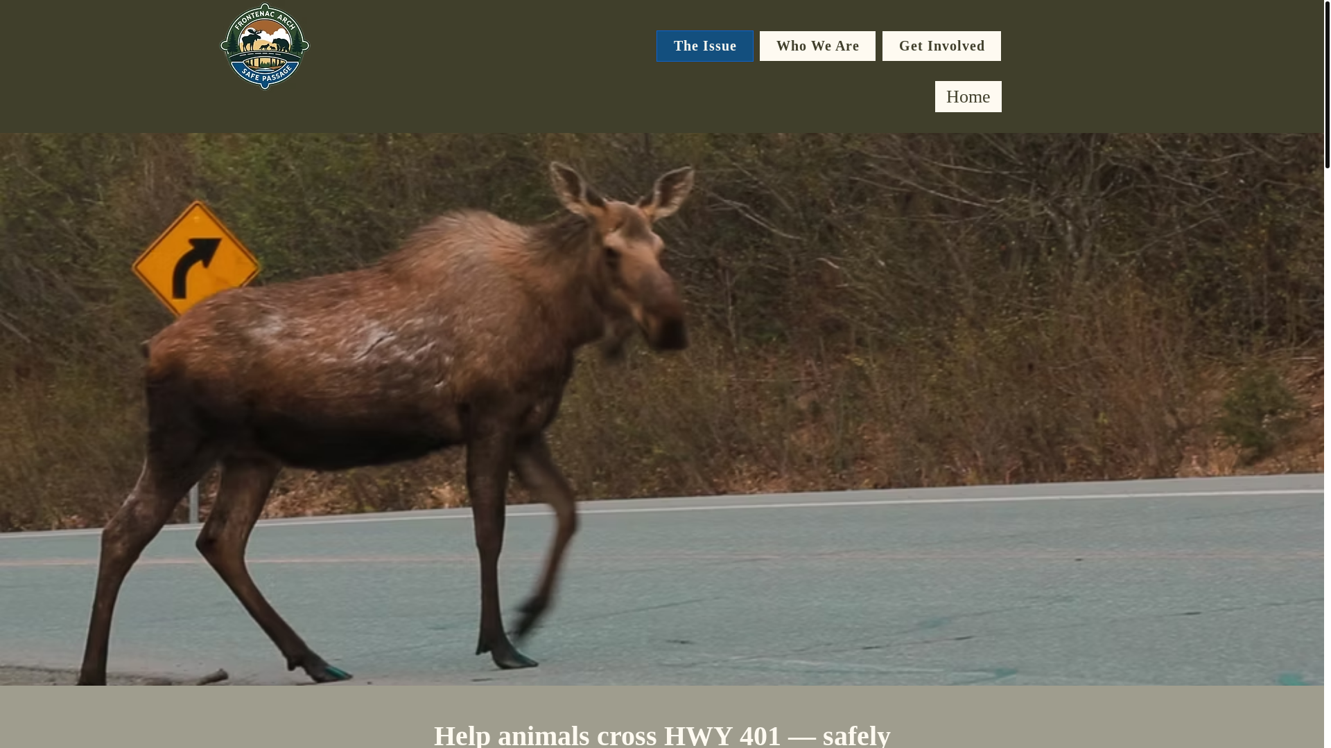website screenshot of https://frontenacsafepassage.org/