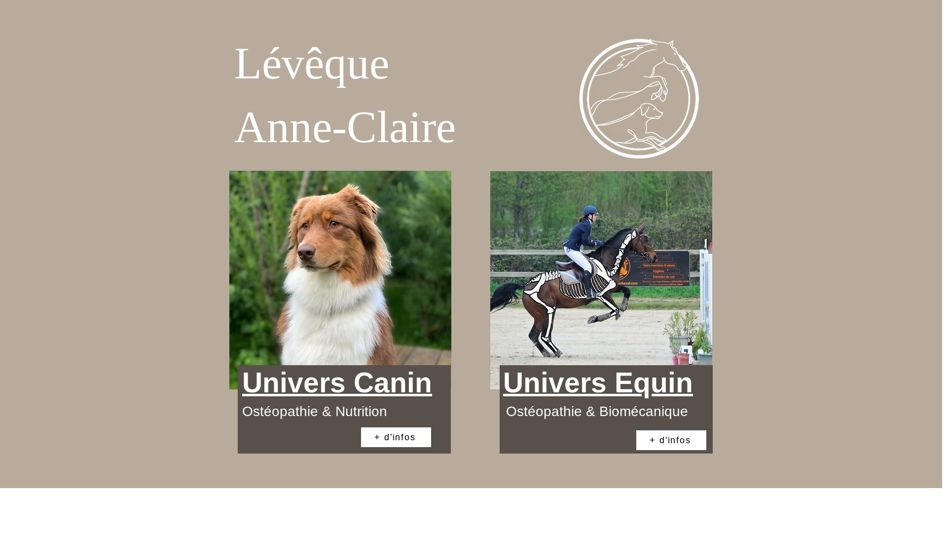 website screenshot of https://equitation-biomecanique.ch/