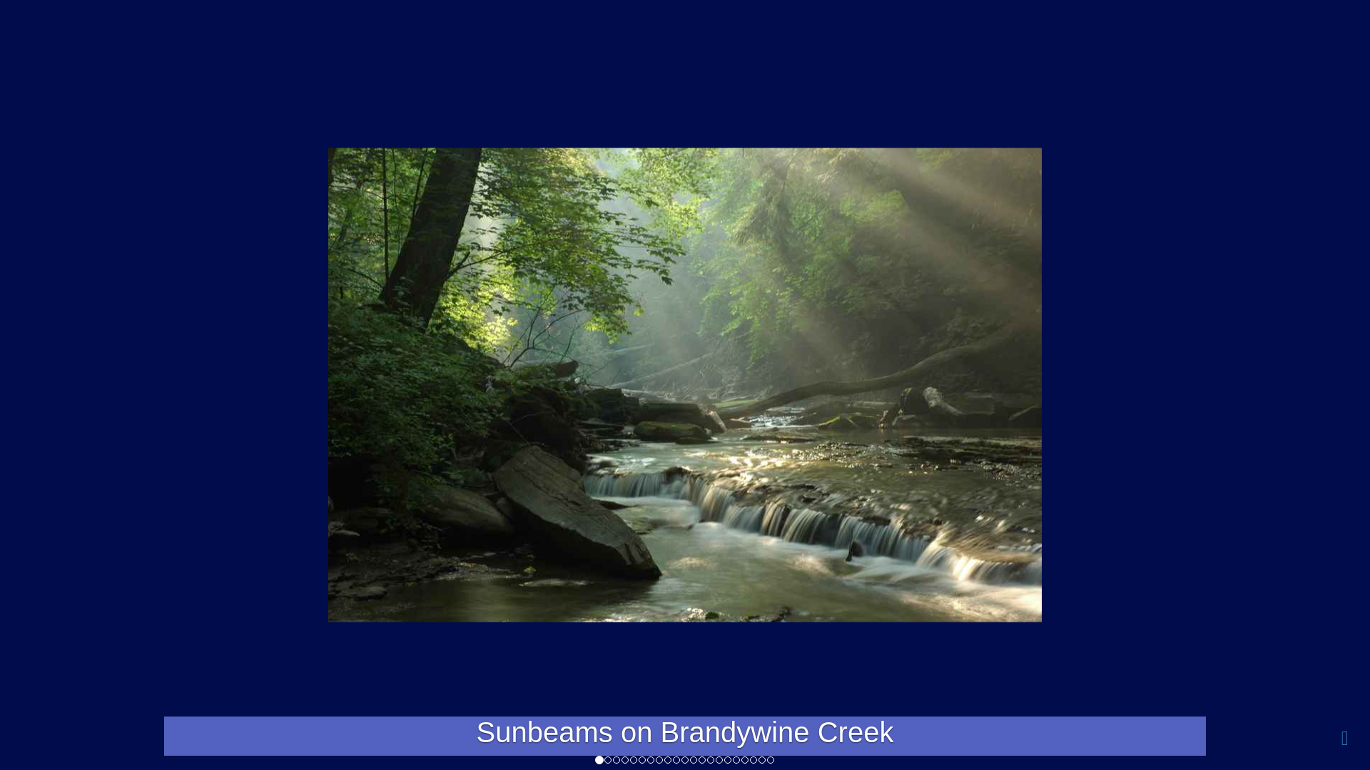 website screenshot of https://edd95827-82d5-2726-e801-4adfaa6b1b22-ci-qa.pages.dev/